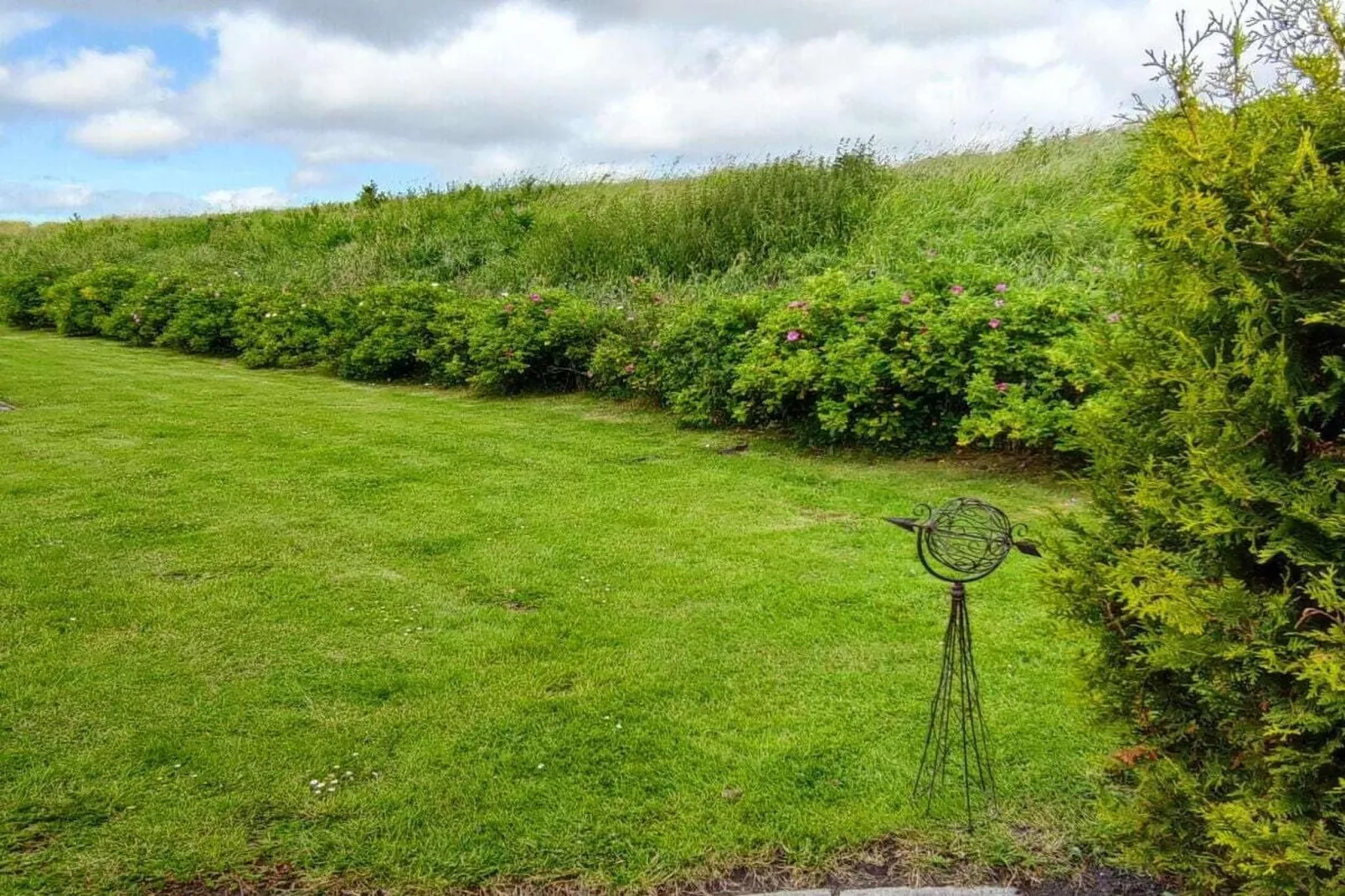 111107-Gardens in summer