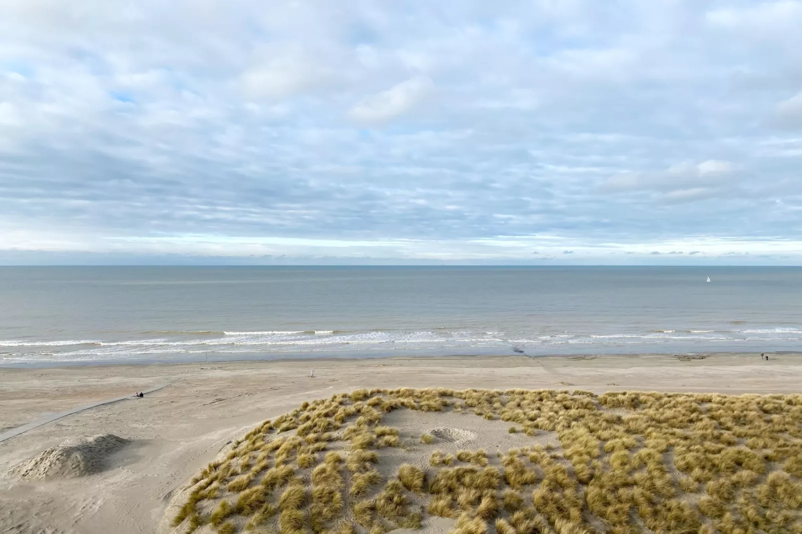 SUNFLOWER 0705GAR-Areas within 1km in summer