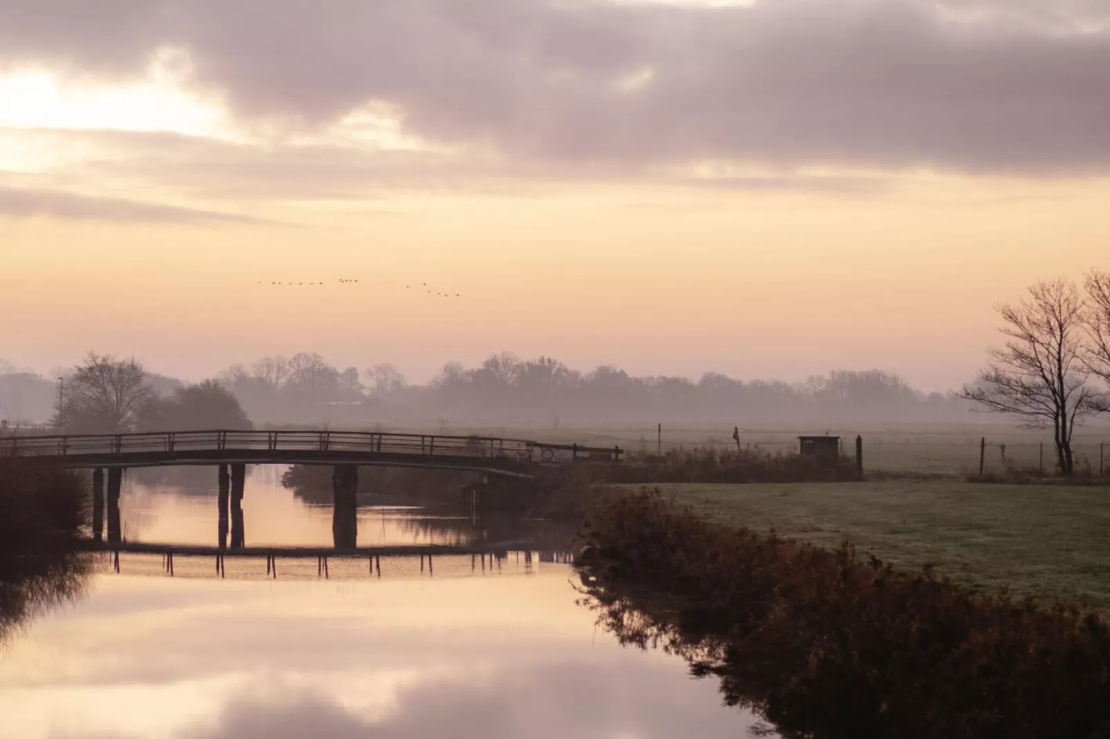 467005-Areas within 5km in summer