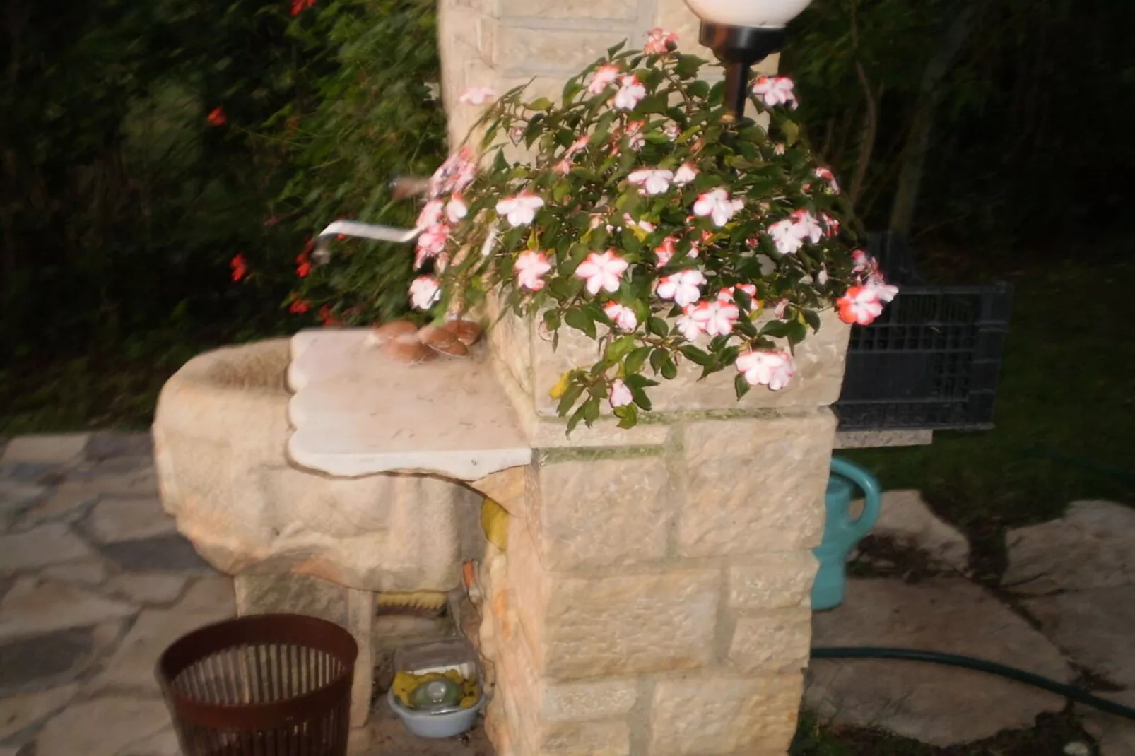 Licul Modern retreat-Jardins en été