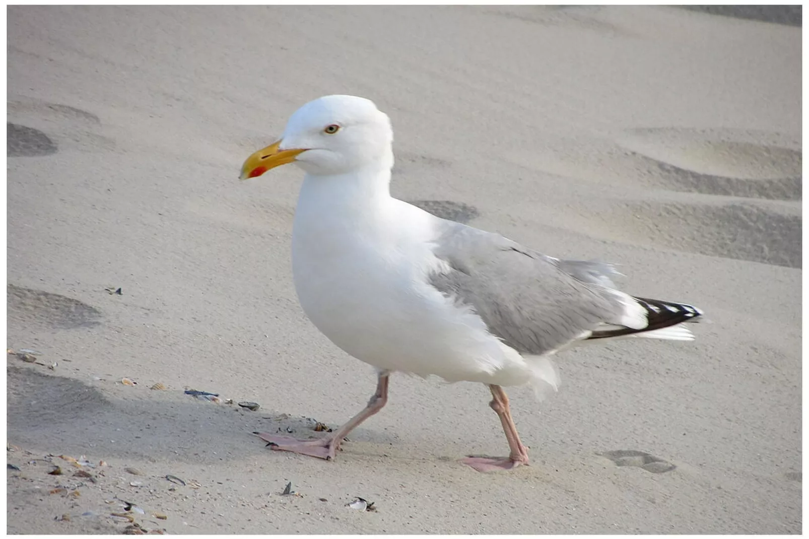 288360-Zones été à 5 km