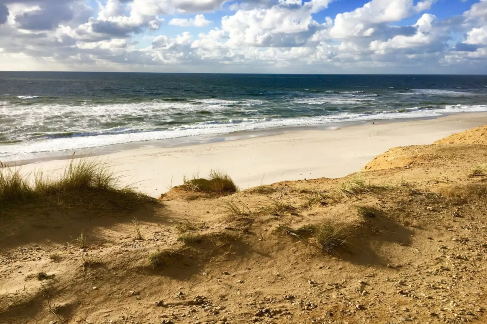 139423-Areas within 5km in summer