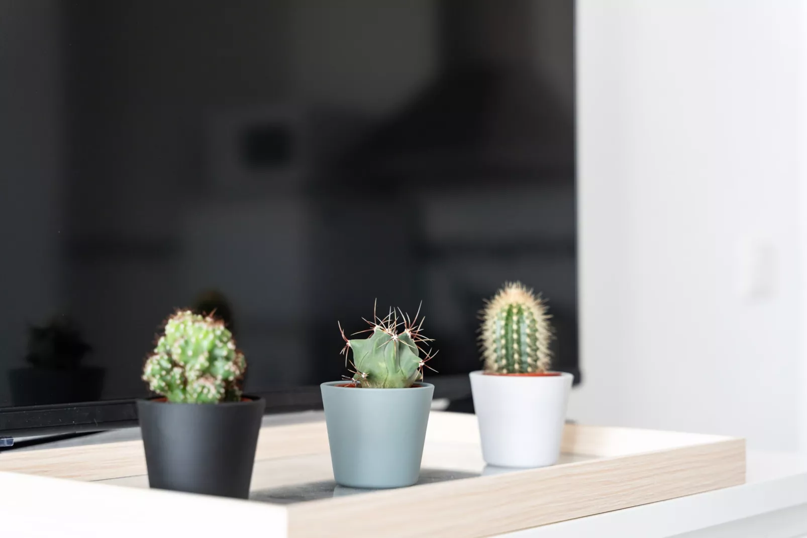 CT 301 - Faro's Fuengirola Centro Studio-Ambiente