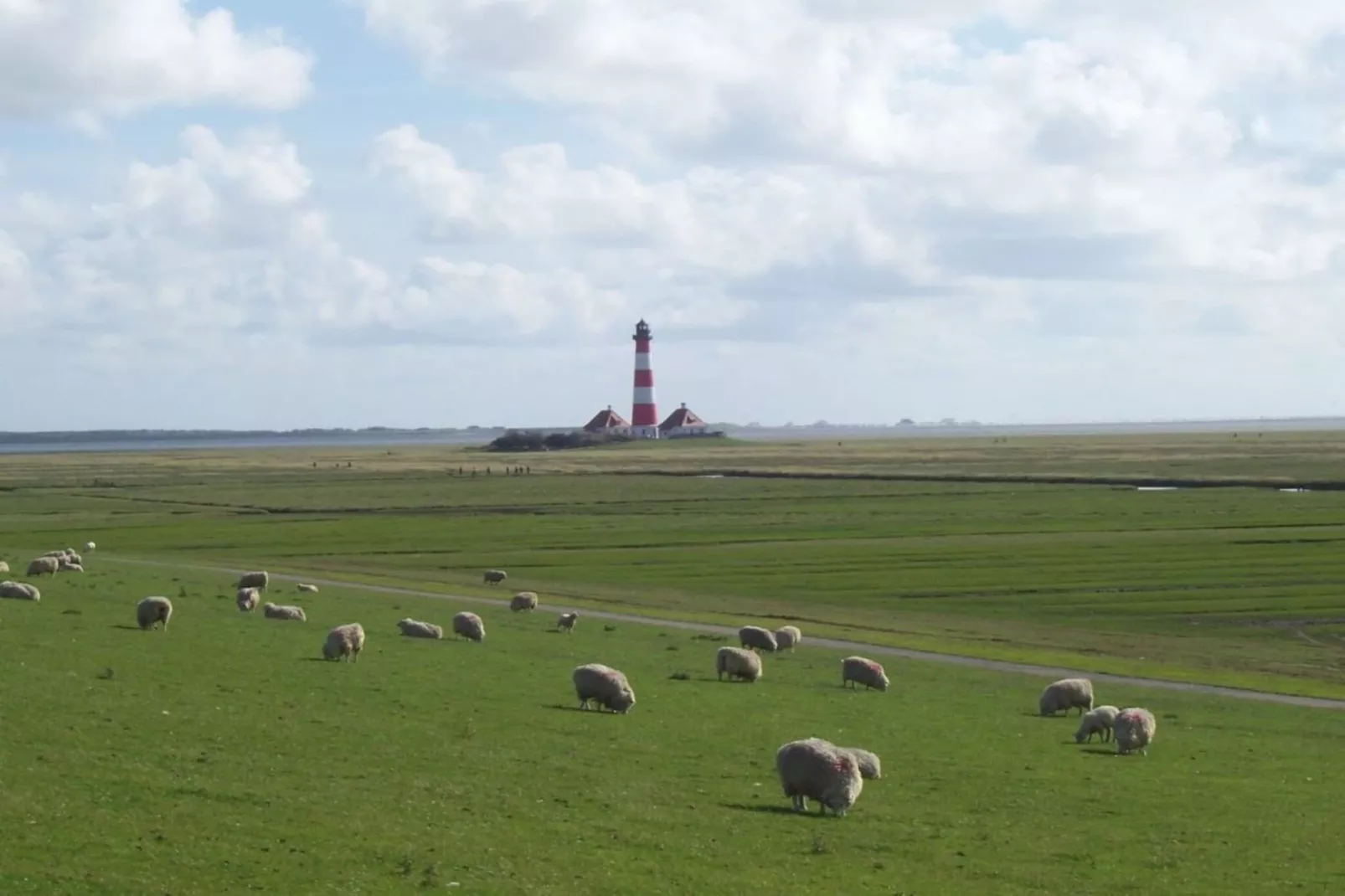 9376-Exterior in summer