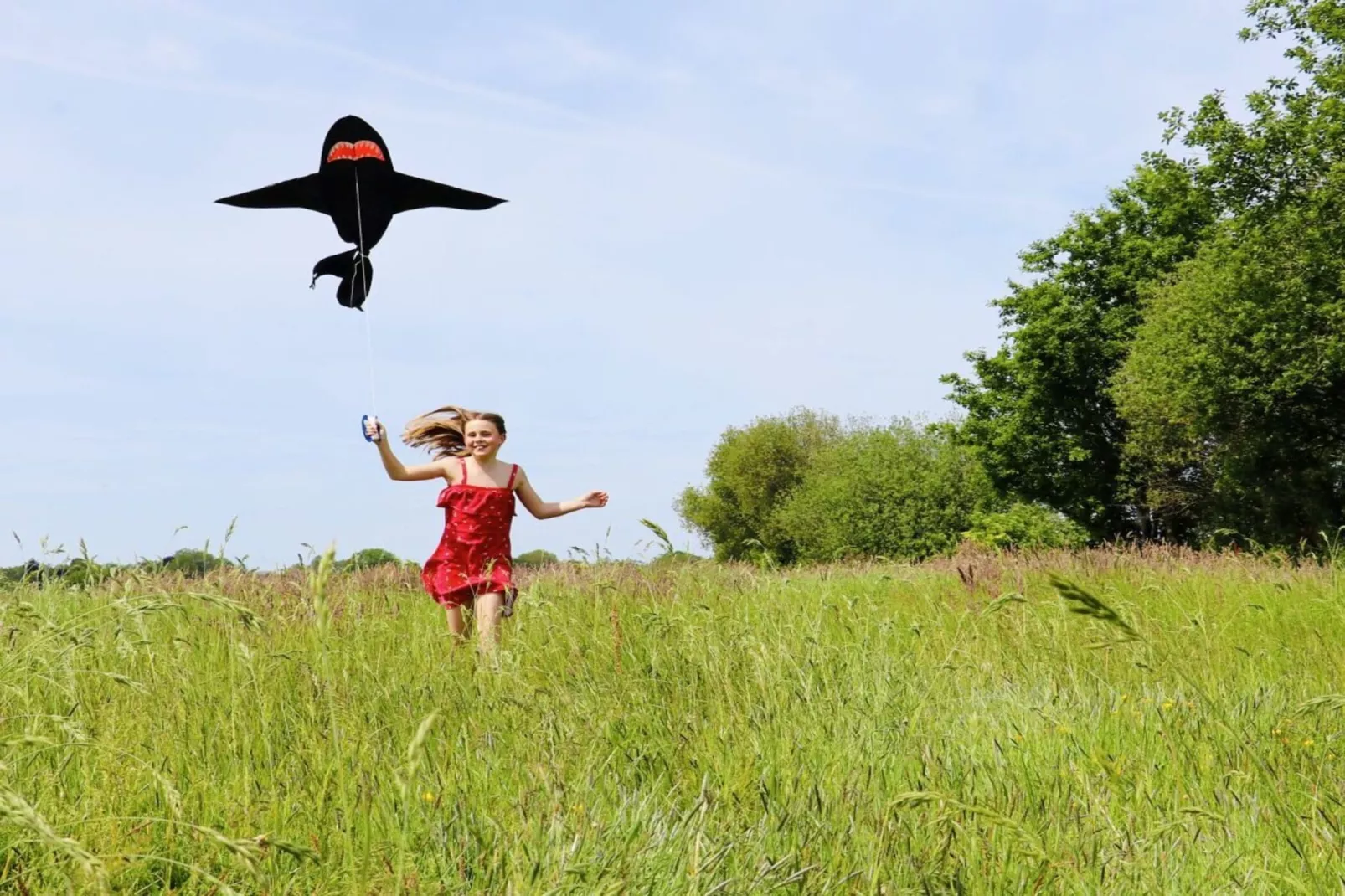 218583-Areas within 5km in summer