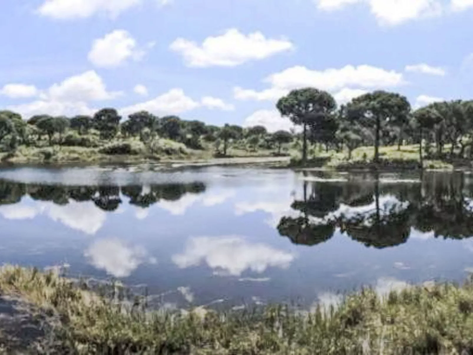 Villa Cegonha - Draußen