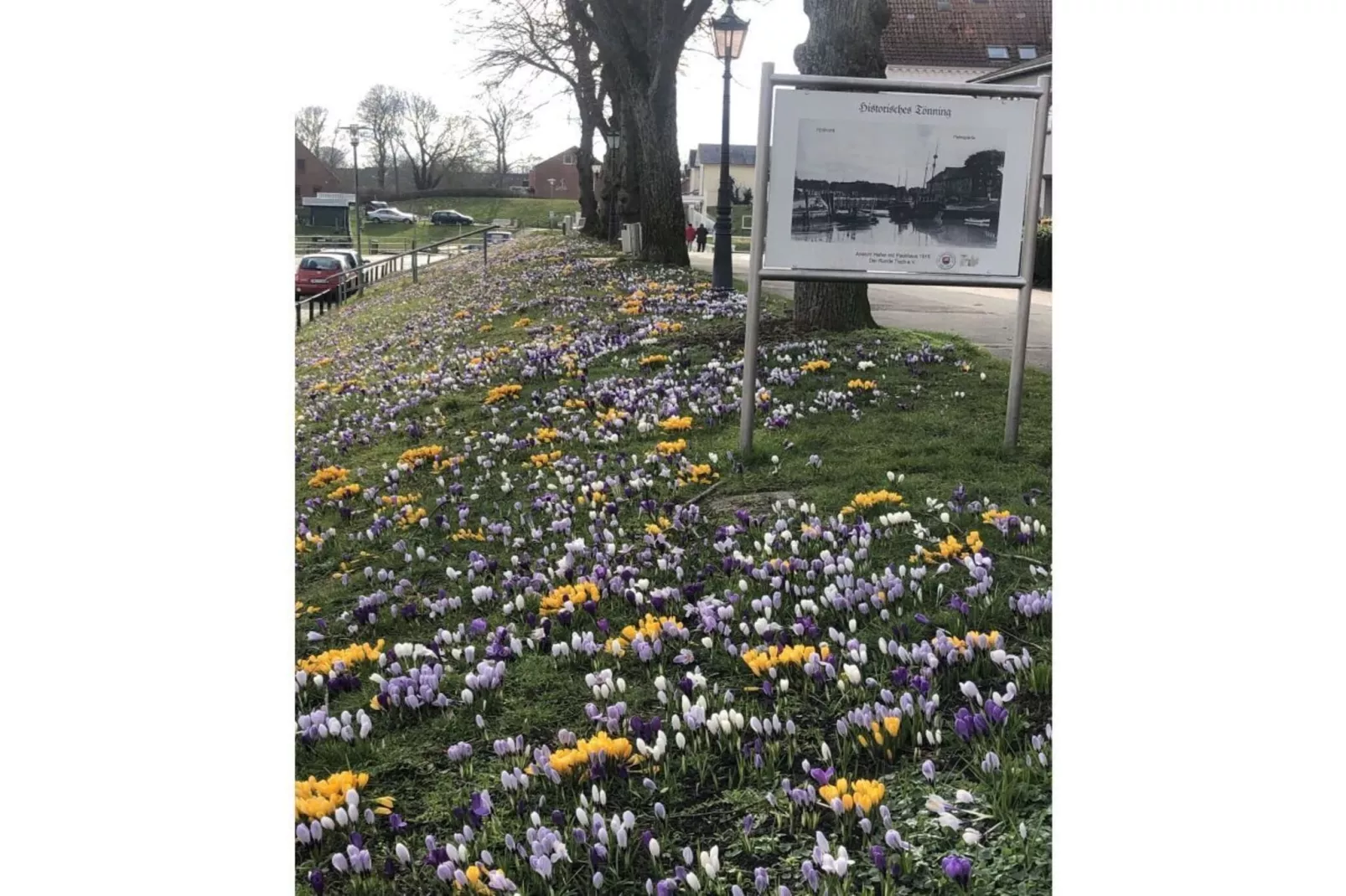 589224-Zones été à 1 km