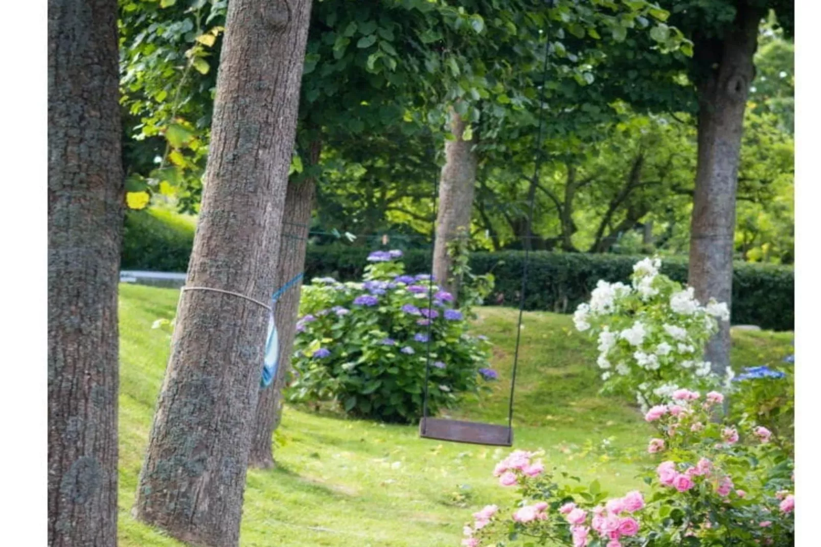 573535 - Extérieur été