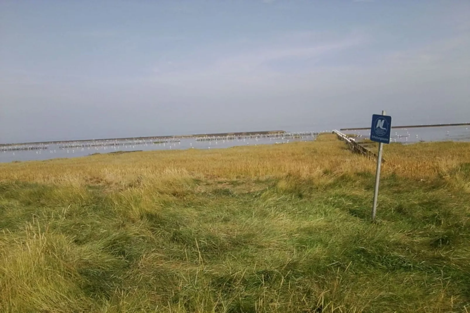 36342 - Image-tags.water view