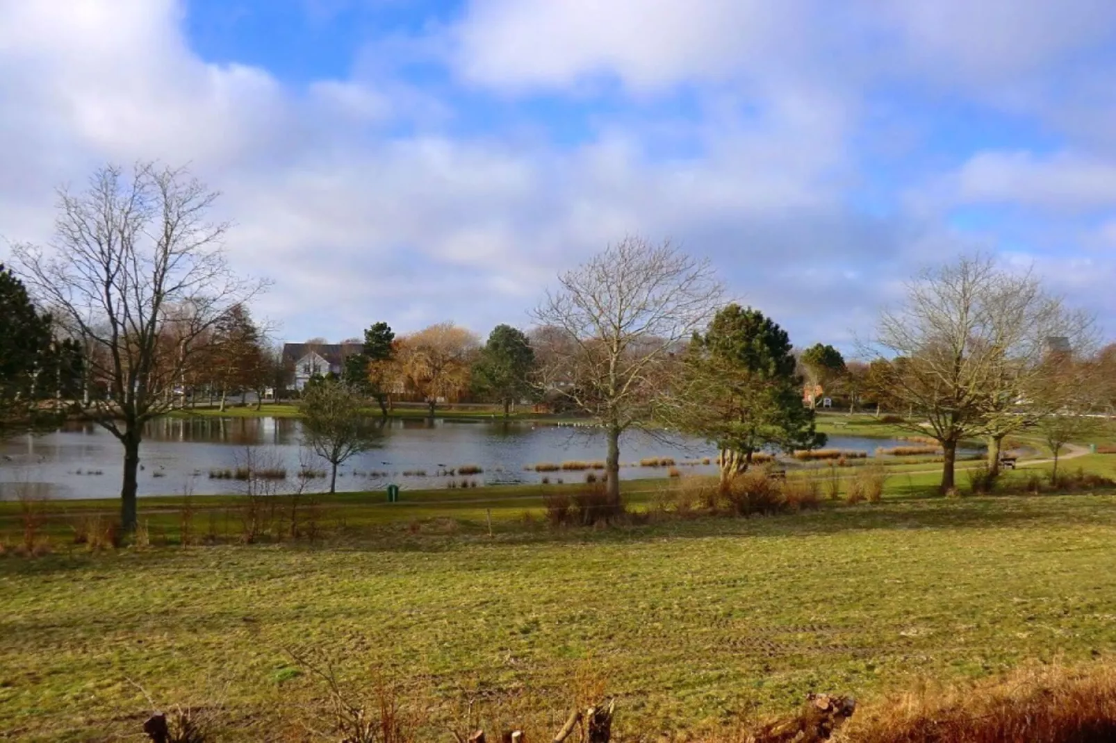 130312-Areas within 1km in summer