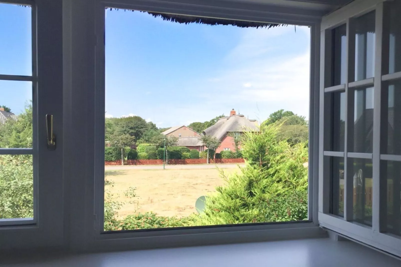 275862-View in summer