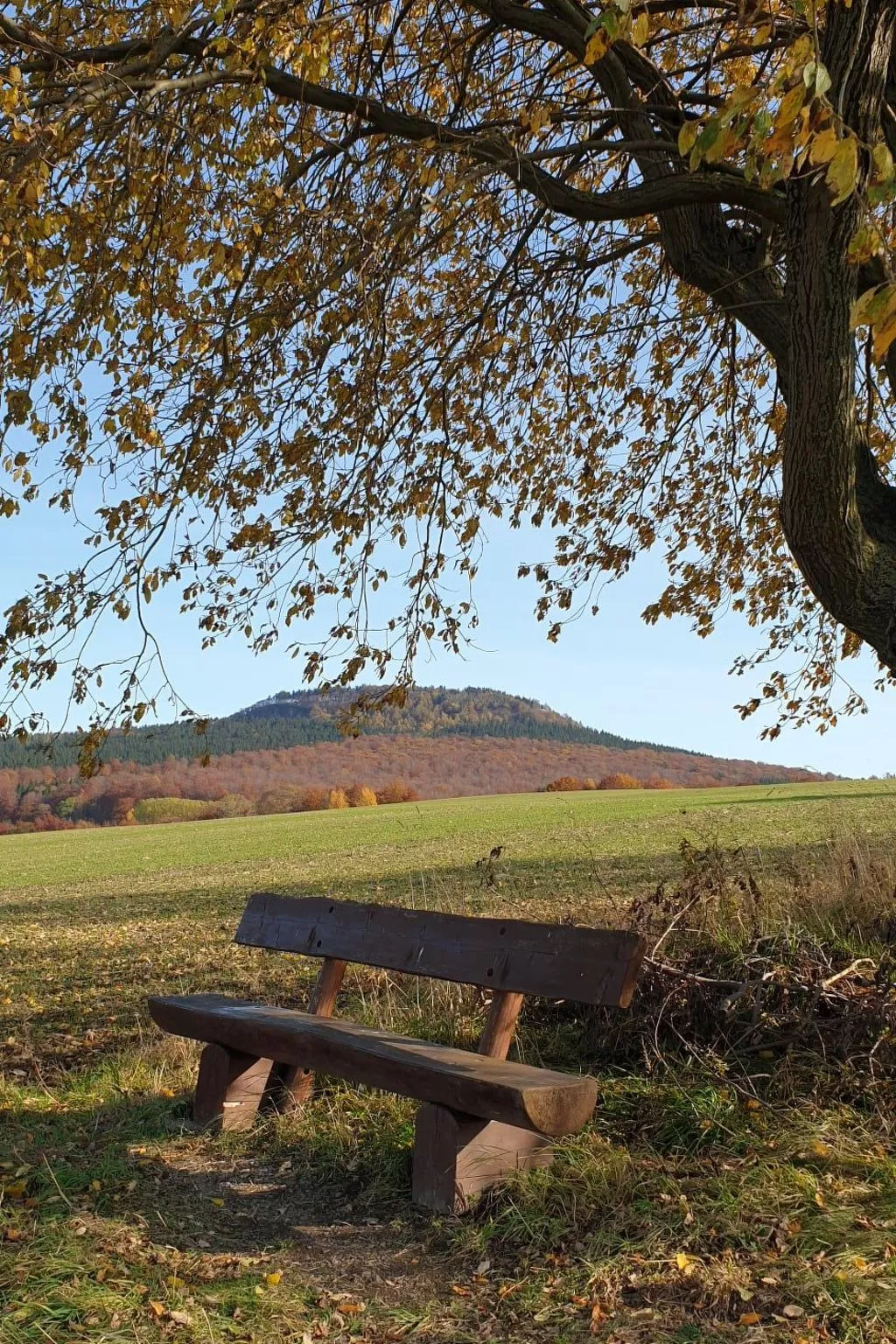 Appartement mit Blick auf das Wasser-Dehors