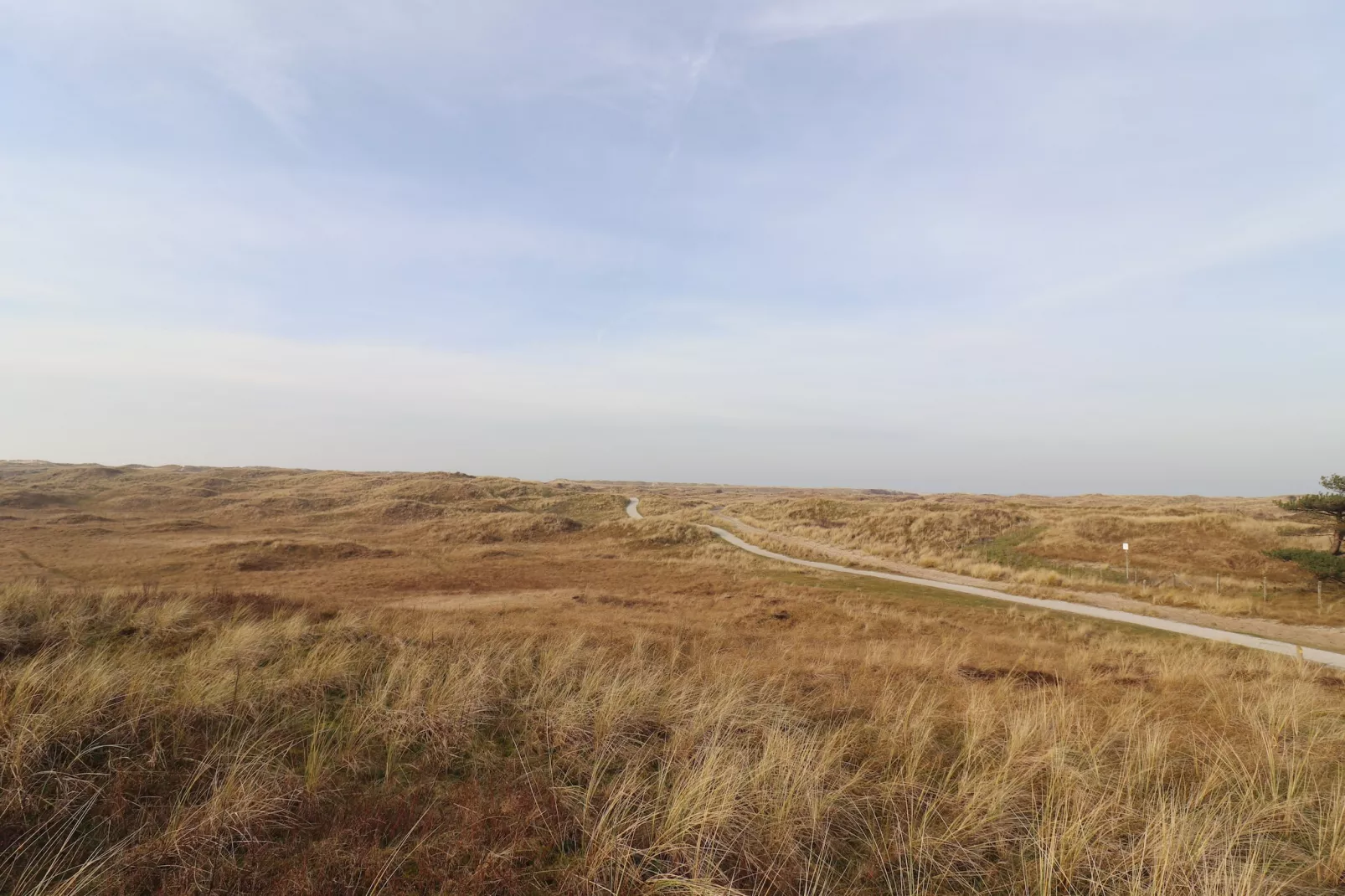 Duinchalet Ameland-Gebiet Winter 1 km