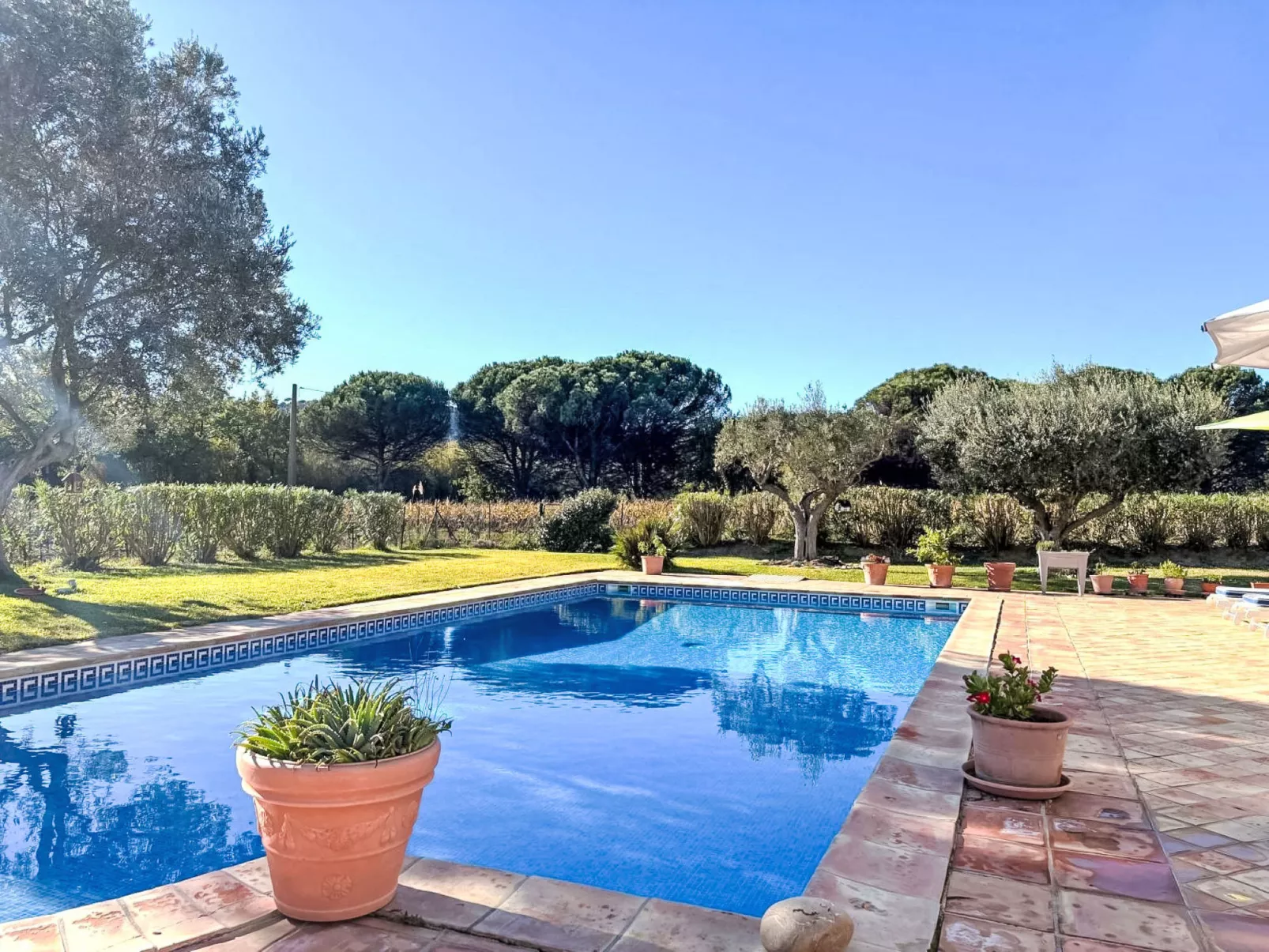 Le Grand Pin - Draußen