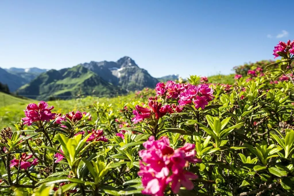 344484-Nicht zugeordnet