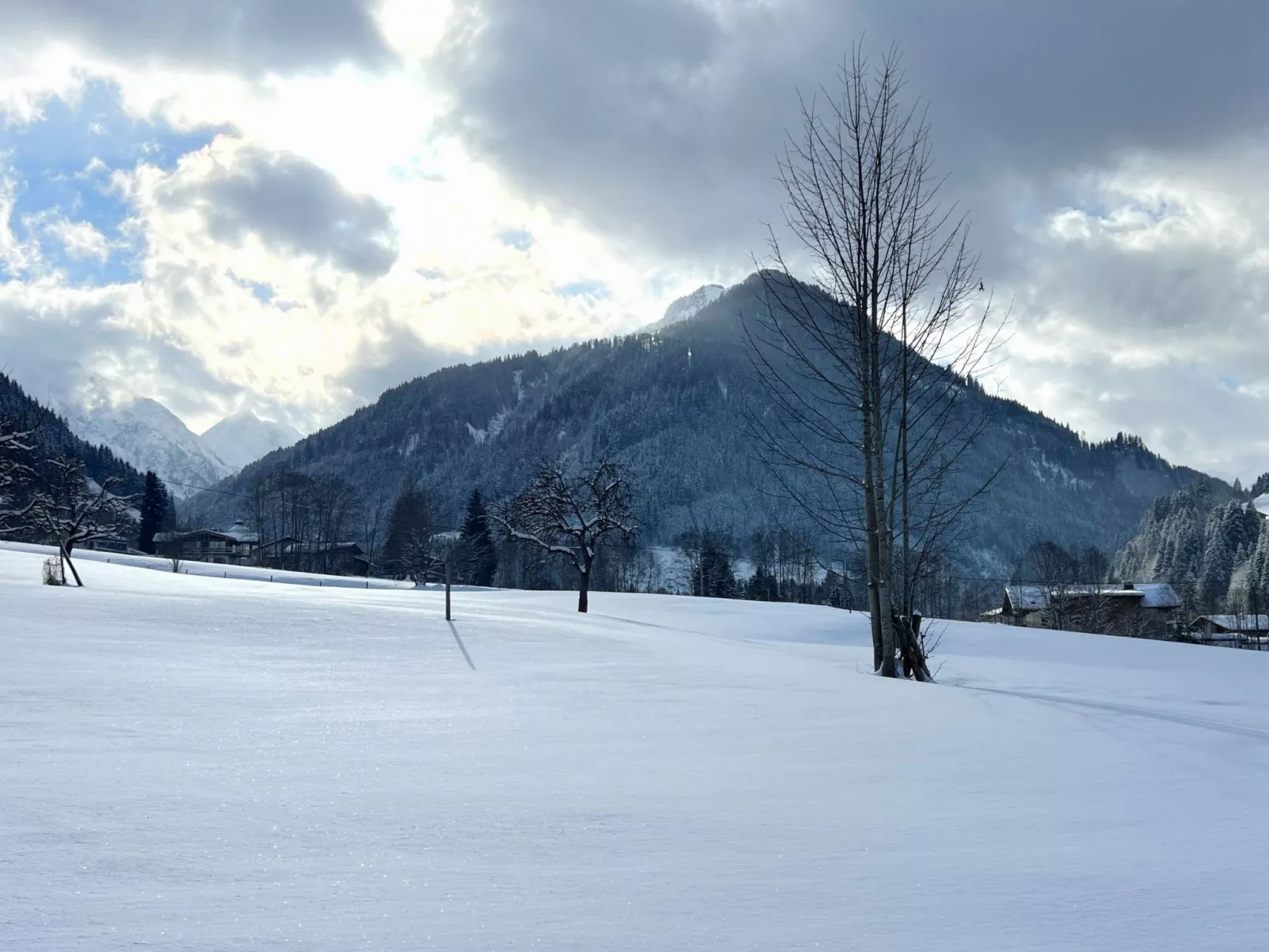Ferienwohnung Daxer - Dehors
