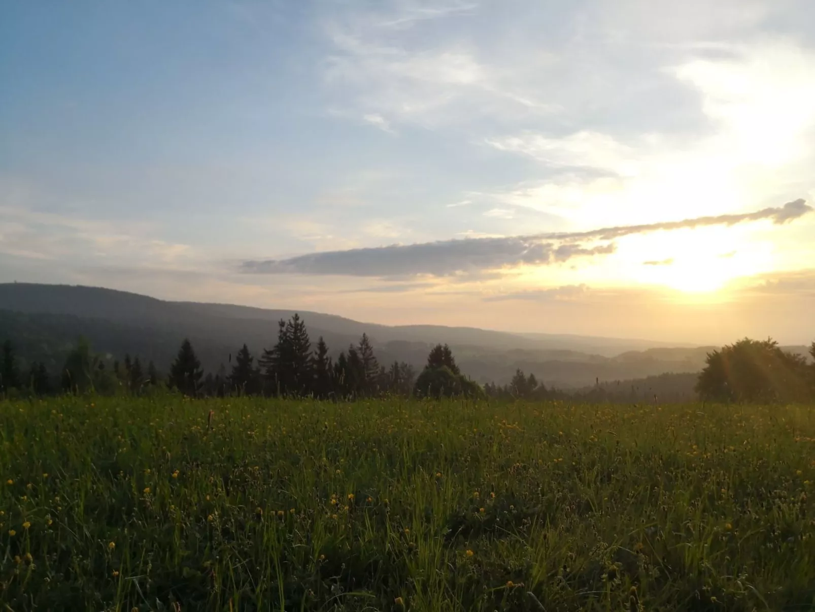 Im Naturpark Steinwald - Image-tags.info
