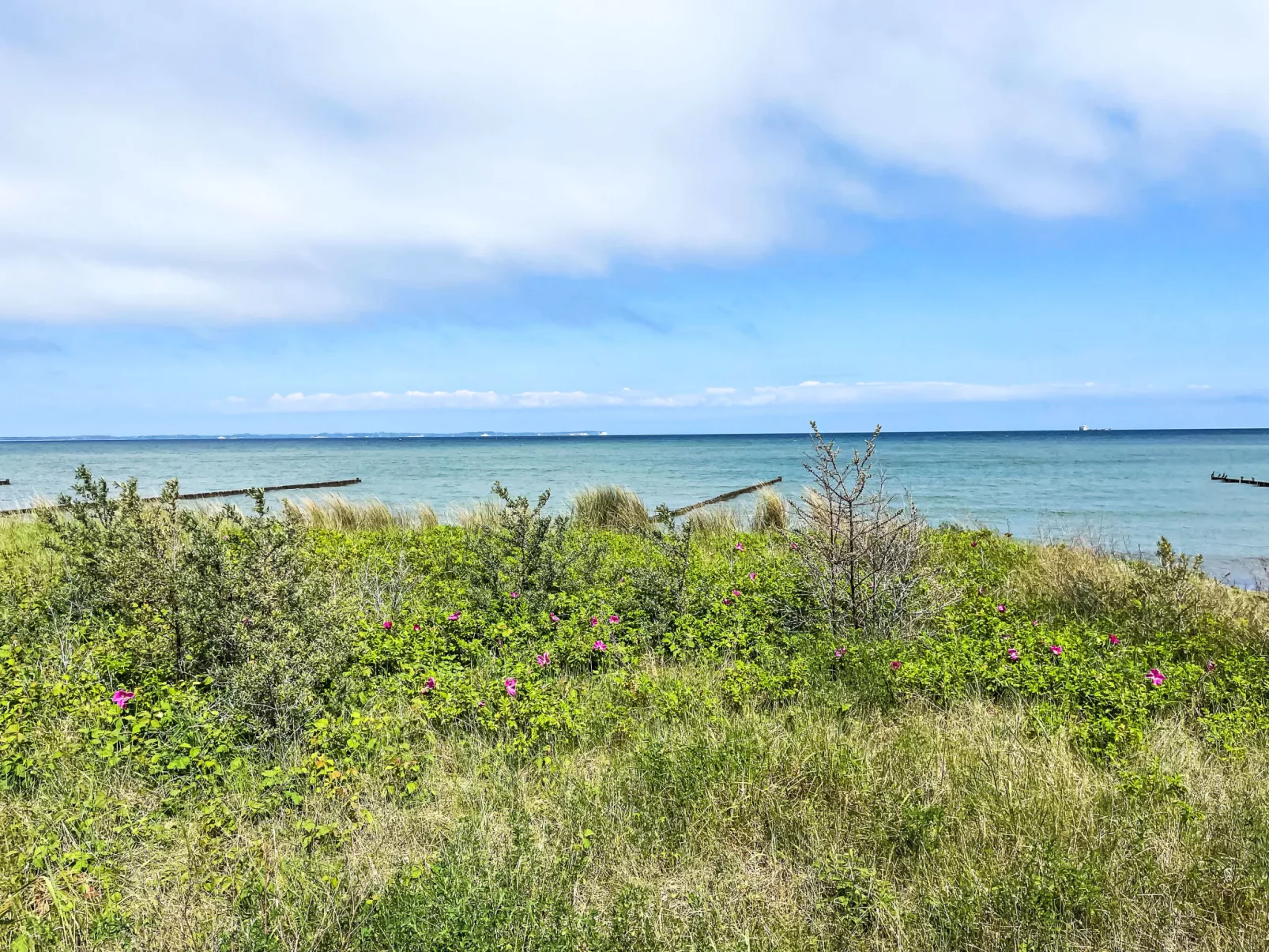Strandnahe Ferienwohnung Lehrer Lämpel Nr. 1 - Environnement