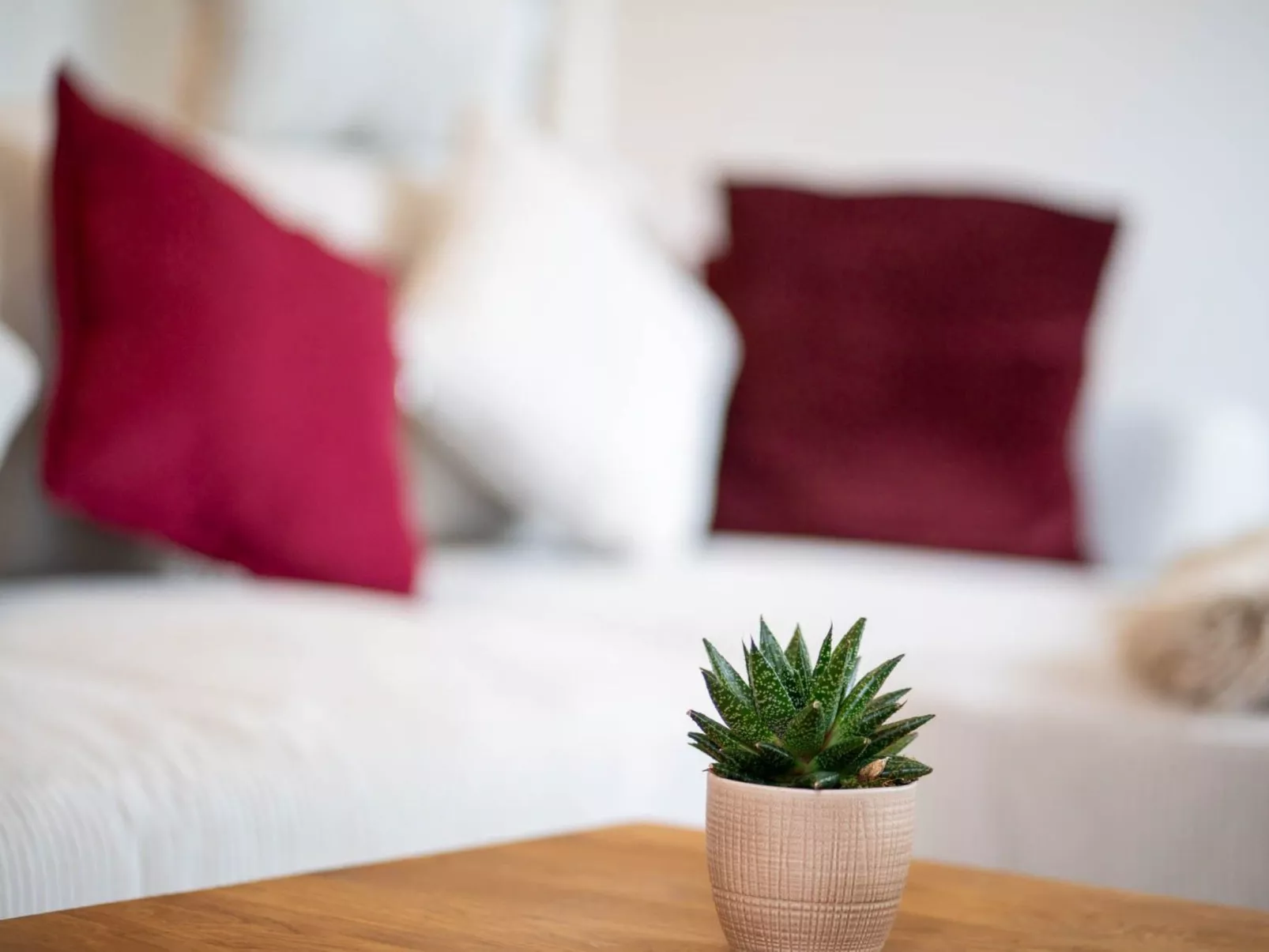 Schule Altes Land - Image-tags.info