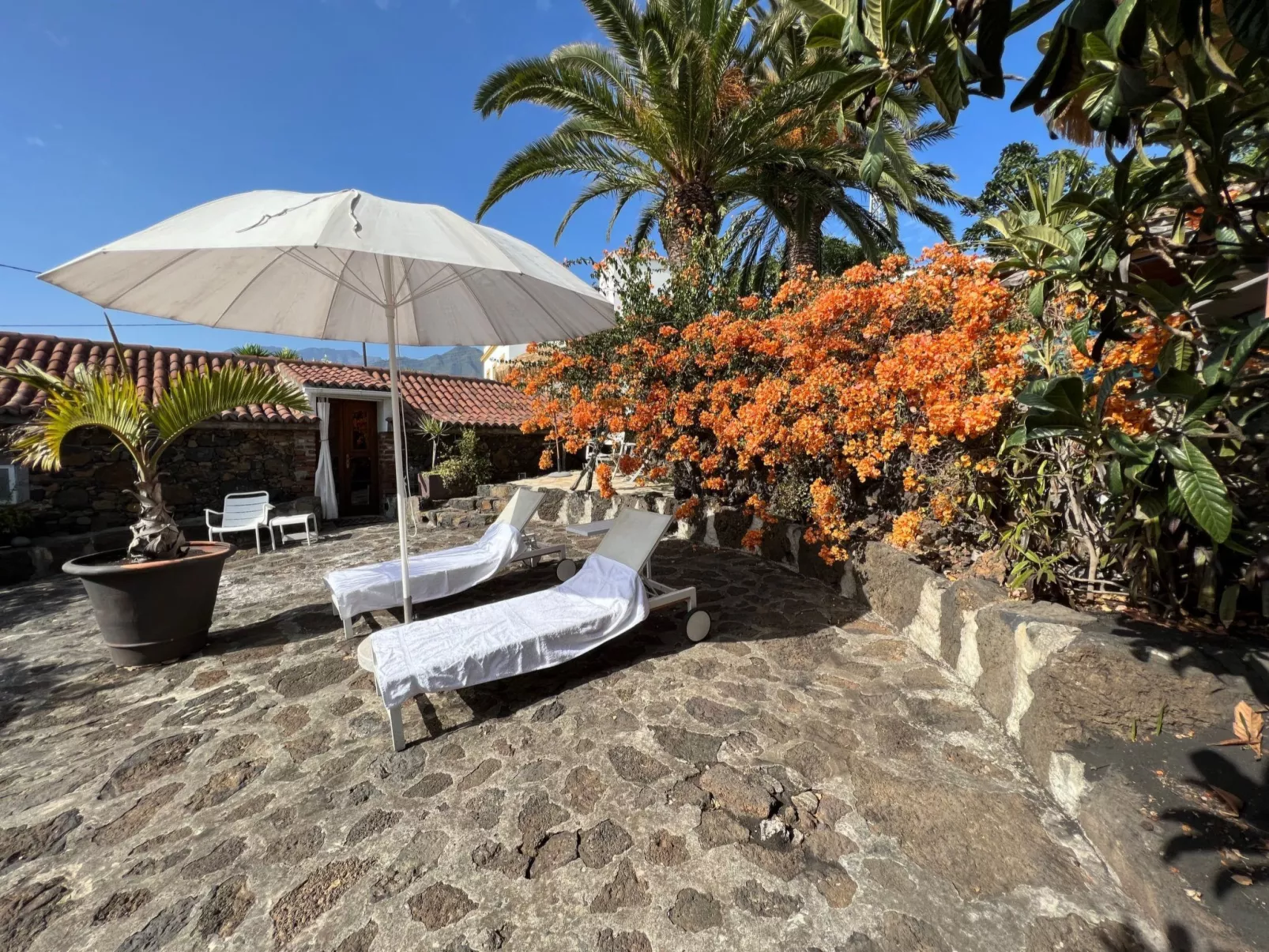 Casa Jardín Tropical - Image-tags.info