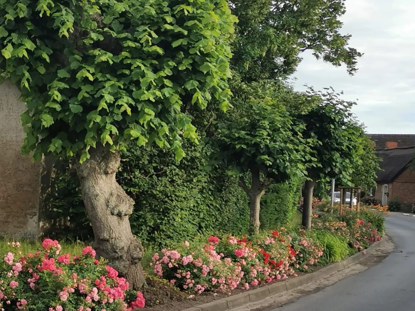 Traumhafte Ferienwohnung im Reetferienhaus - Image-tags.info