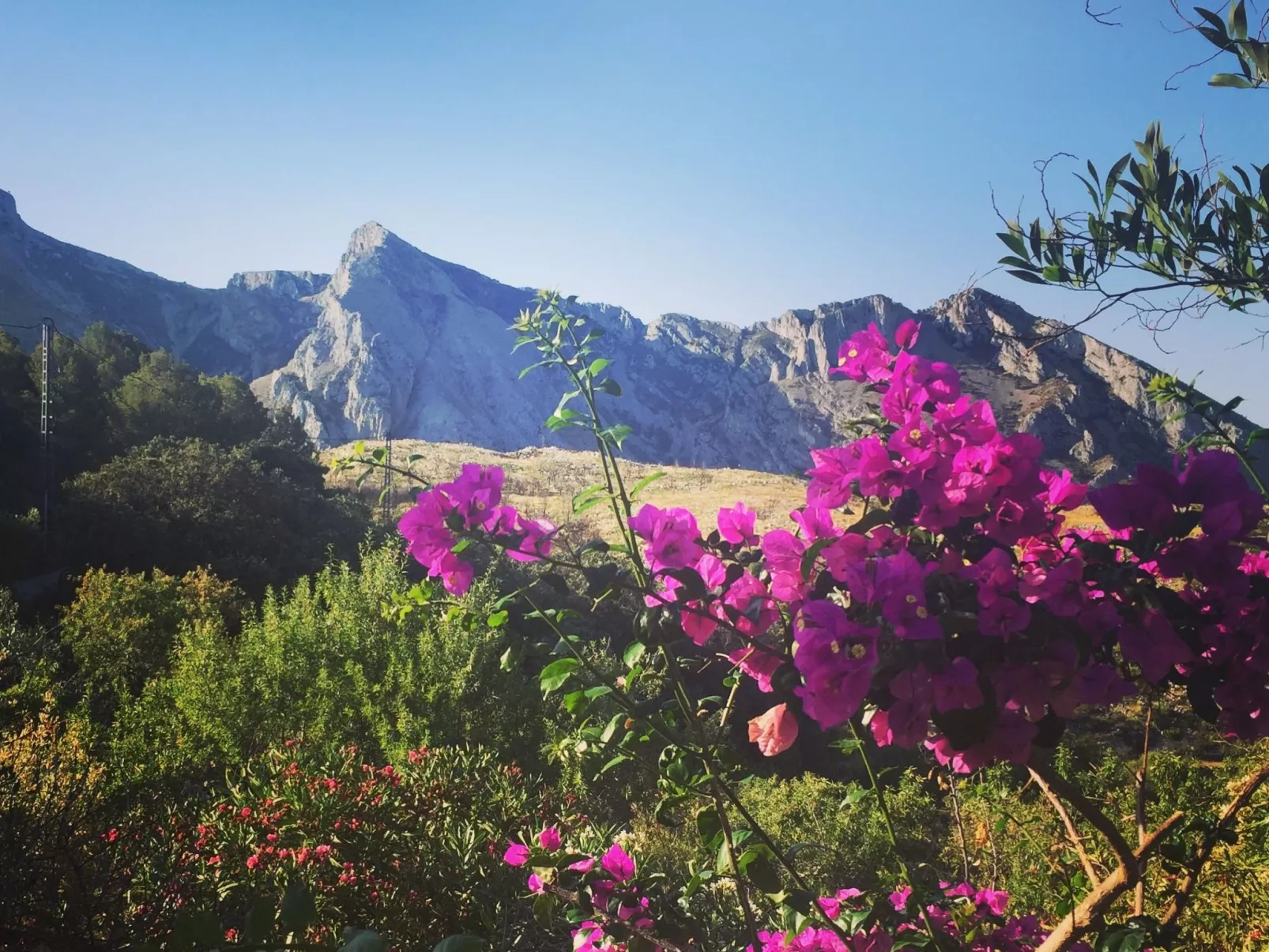 Leerstehendes Haus "Can Elisa" - Image-tags.info