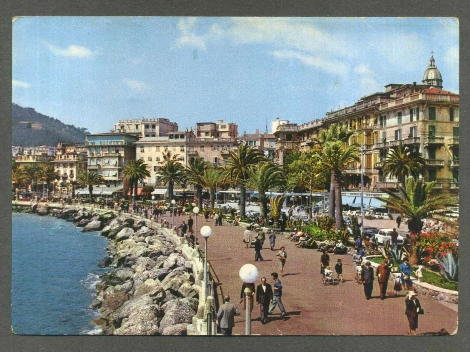 Seestern - Image-tags.info