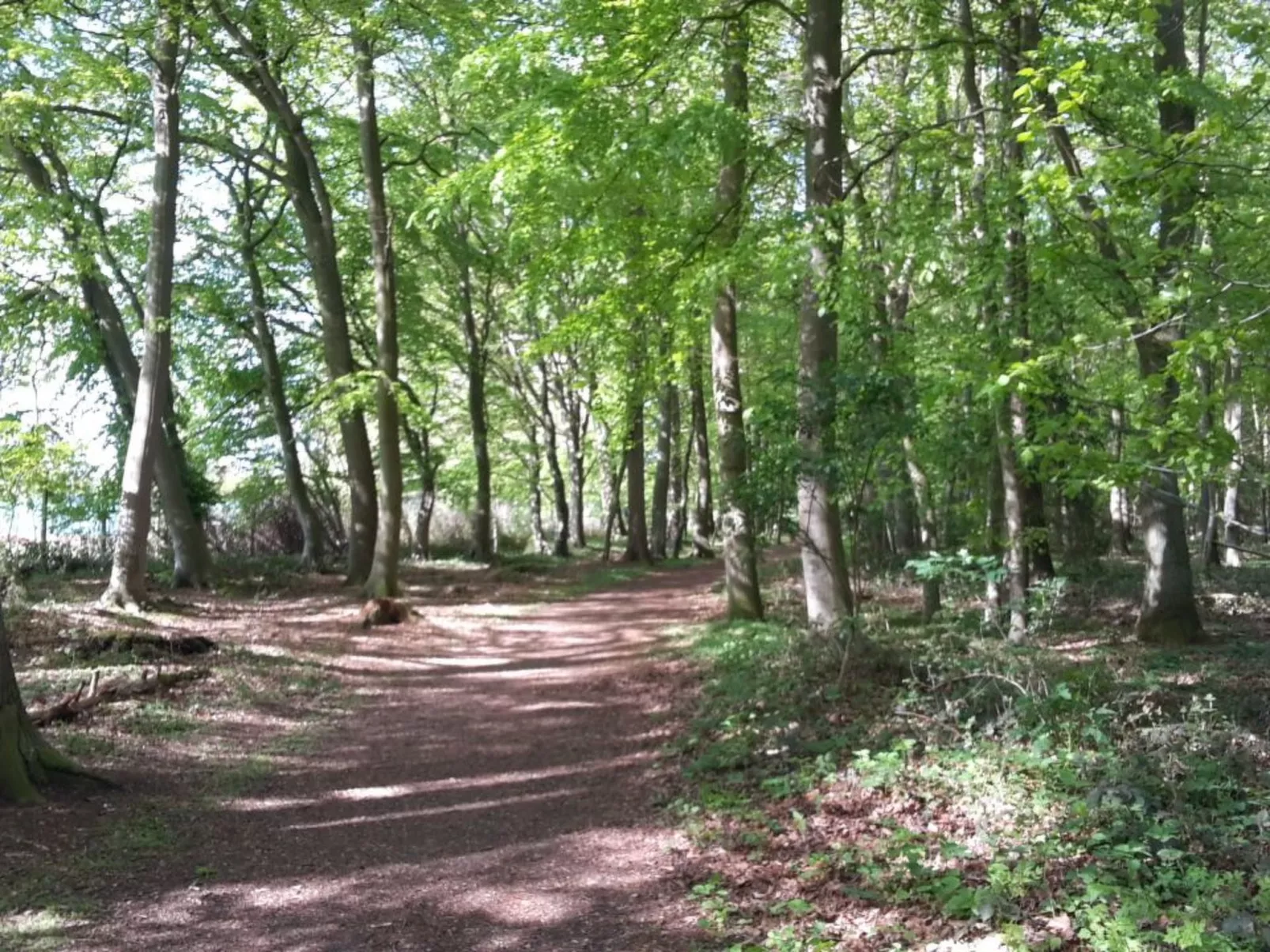 Fewo Ostseebrise - Image-tags.info