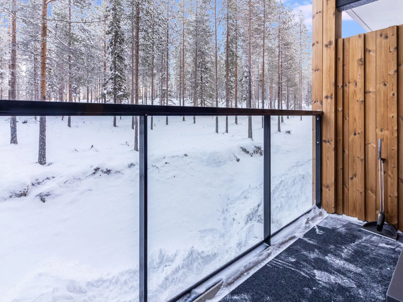 Lingonberry d11 - Drinnen