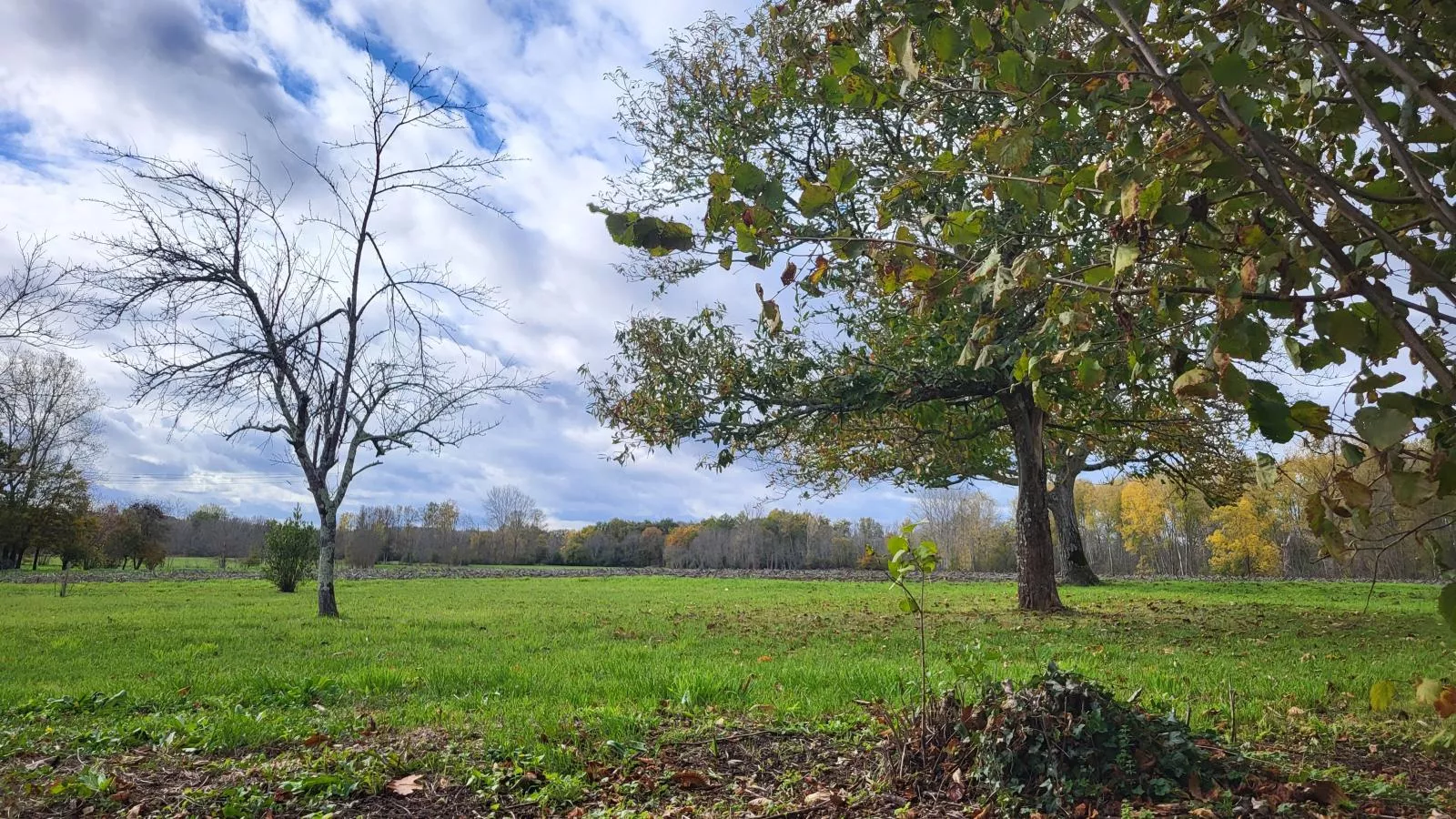 Maison des Prairies - Jardins en été