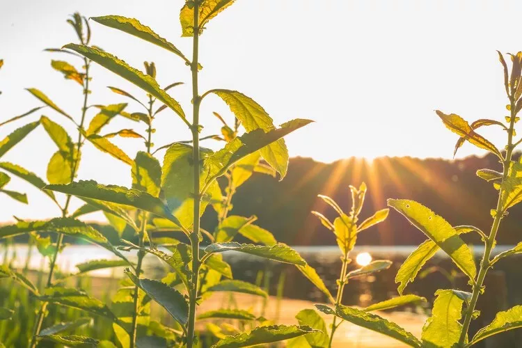 Seewind / 8 Personen-Zones été à 1 km