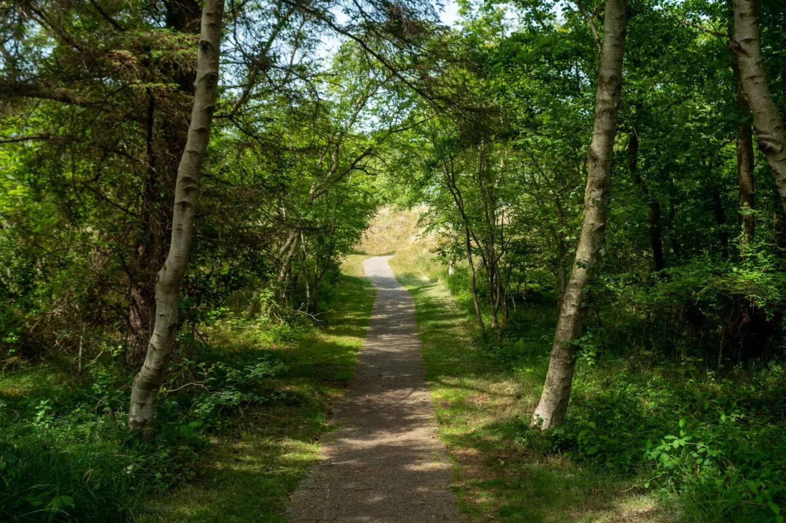 377693-Zones été à 5 km