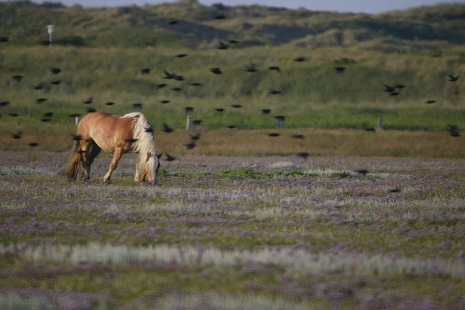 321929-Areas within 5km in summer