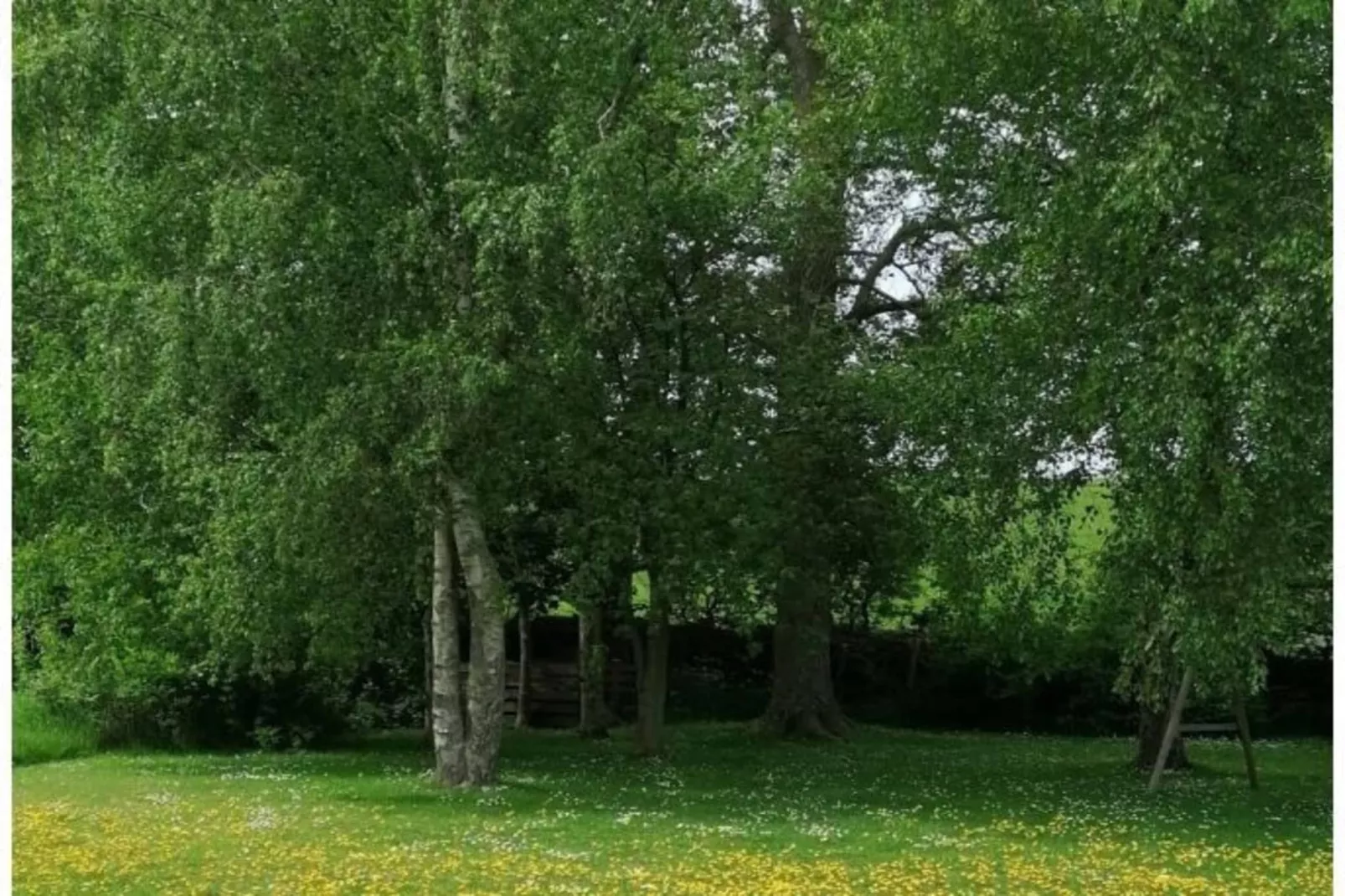 90385-Gardens in summer