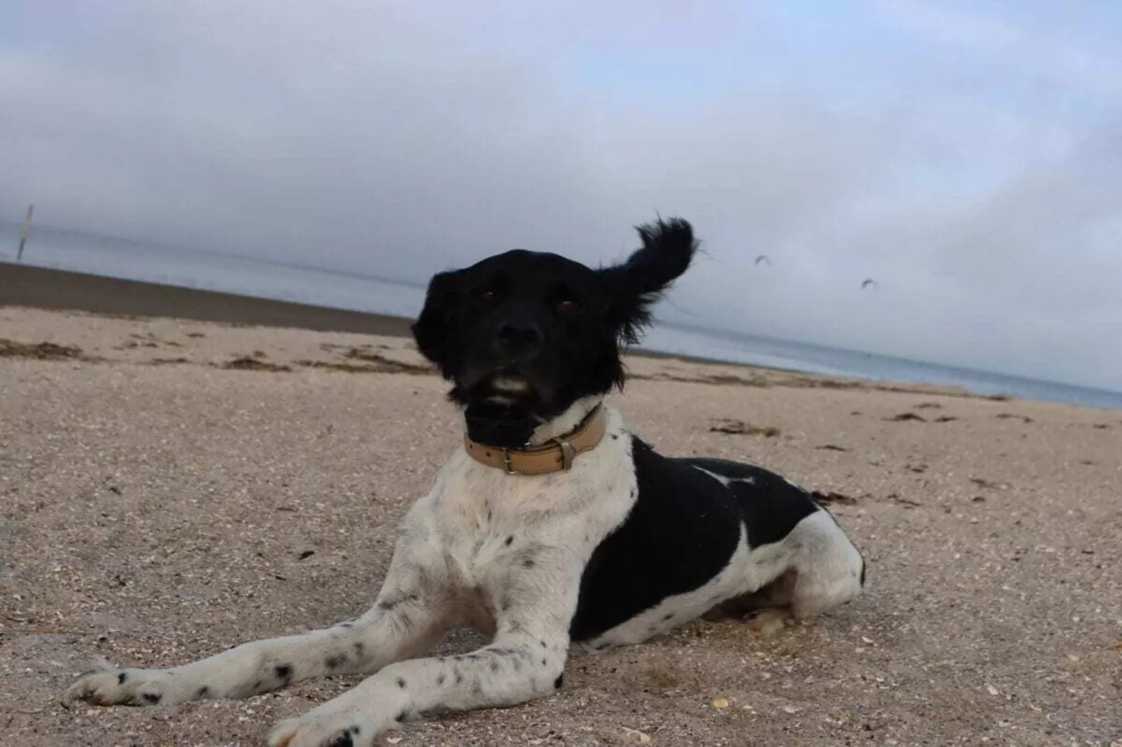 76469-Image-tags.water view