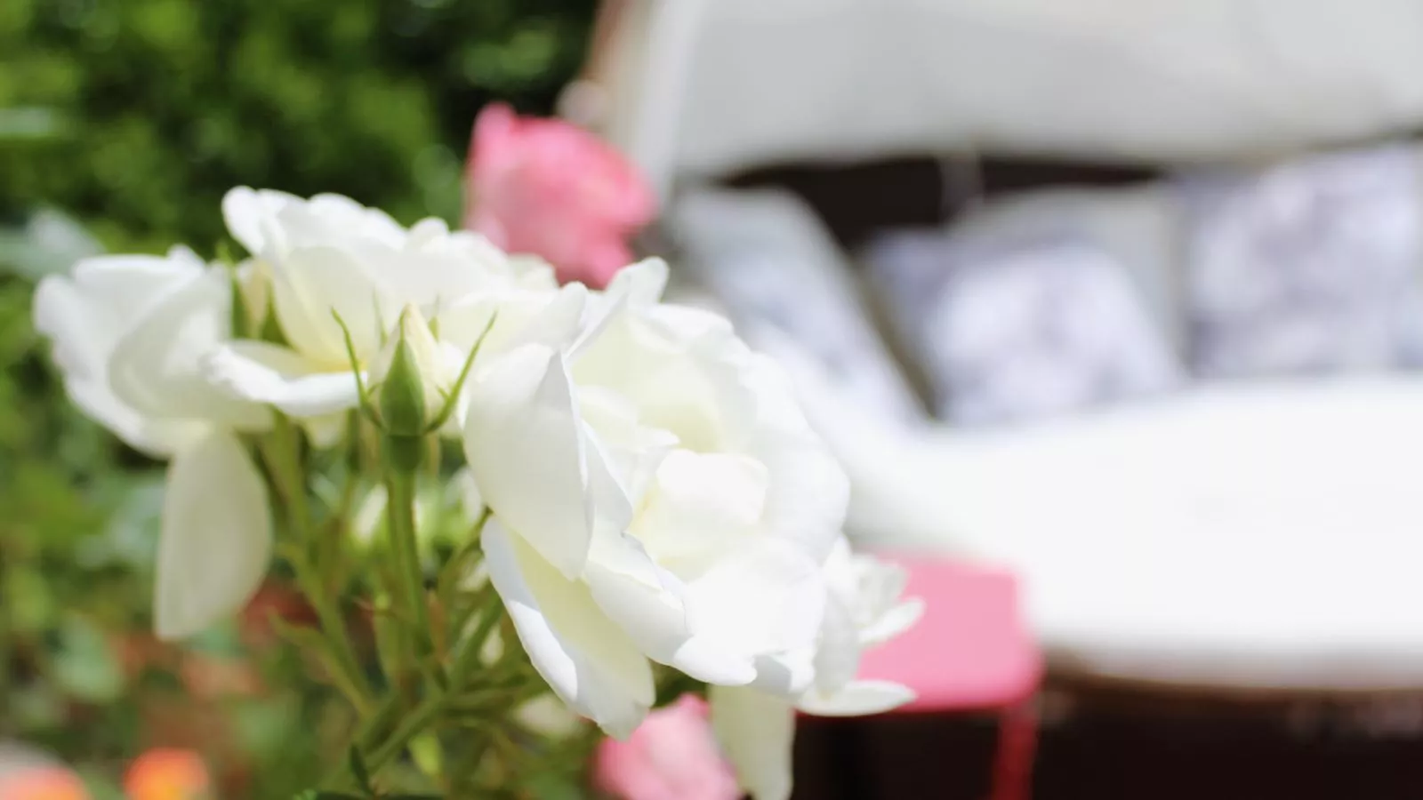 La maison des Vendangeurs 6-Ambiente