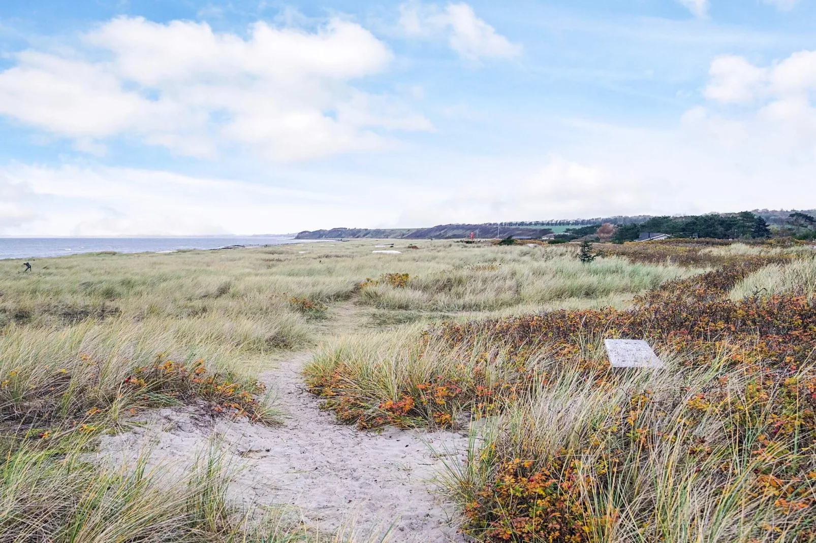4 etoiles maison de vacances a Store Fuglede-Vue