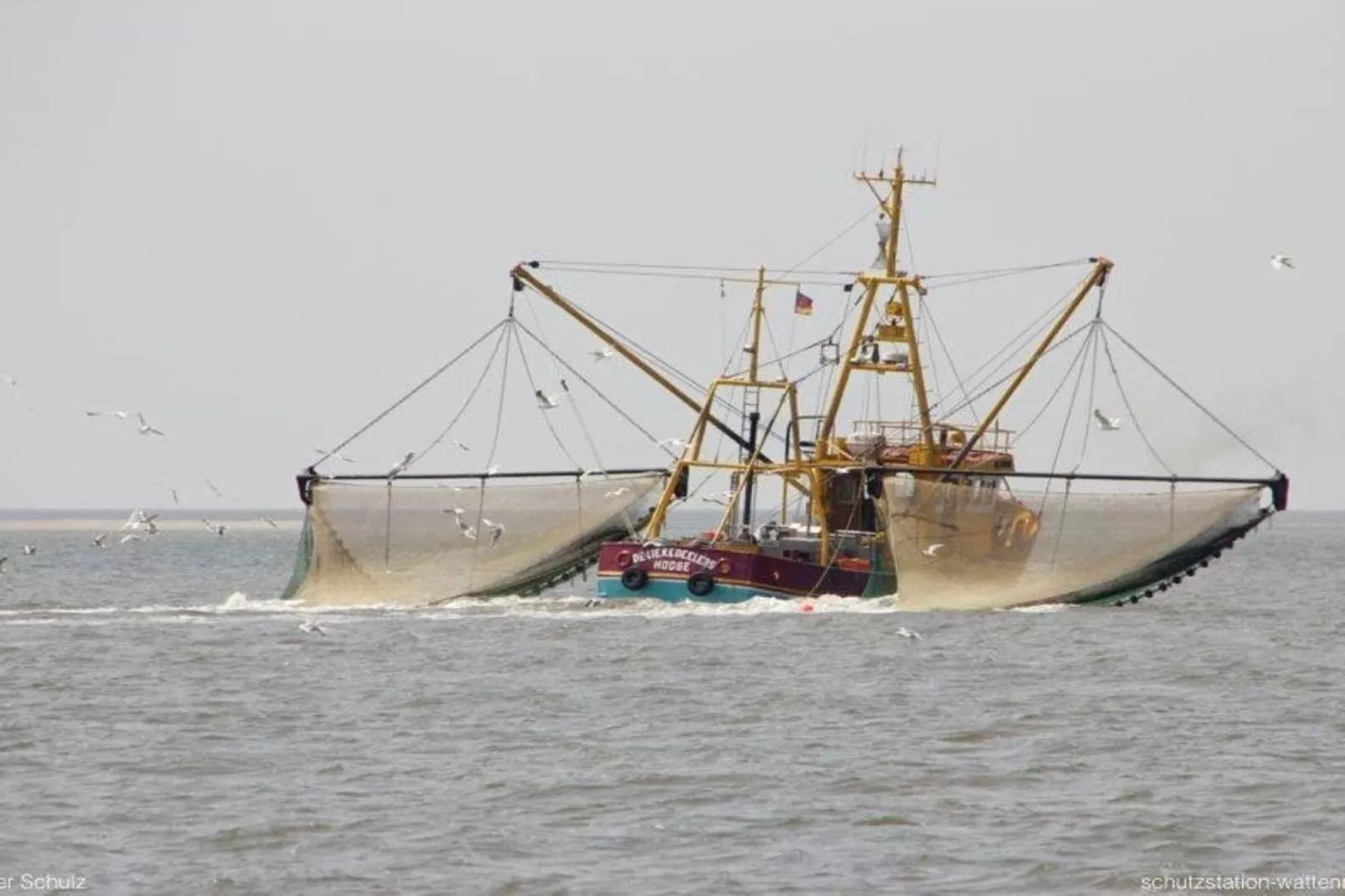 128858-Gebiete Sommer 5 km