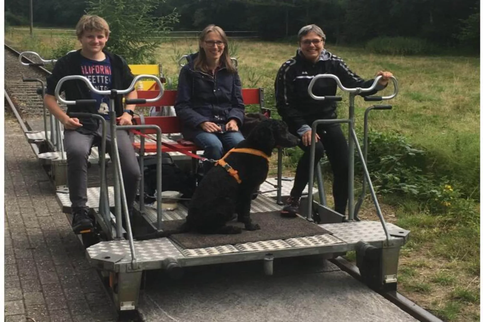 109045-Jardins en été