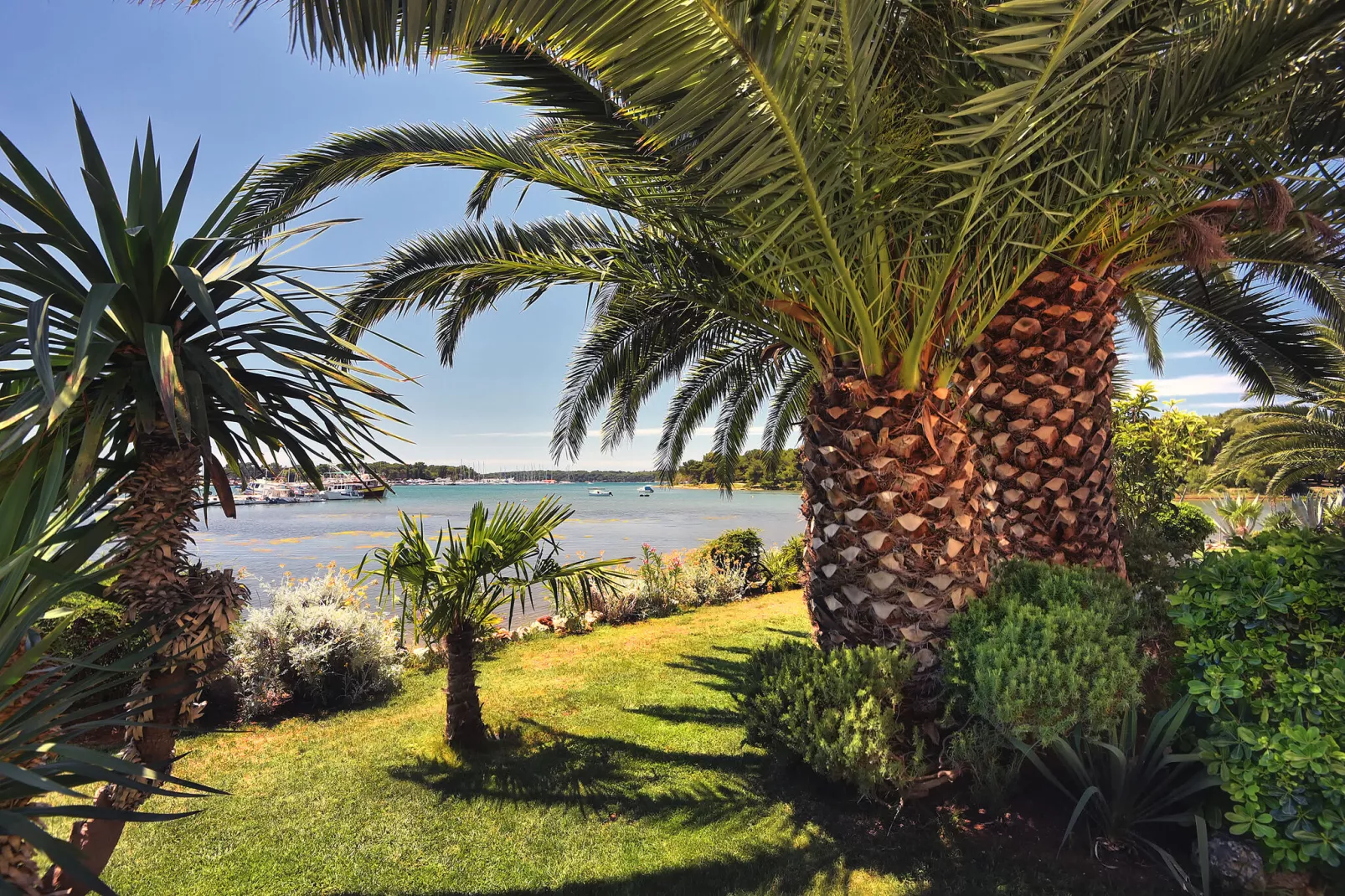 Marinka-Aussicht Sommer