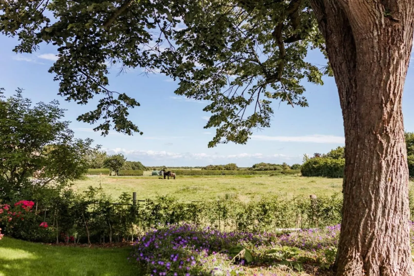 614005 - Jardins en été