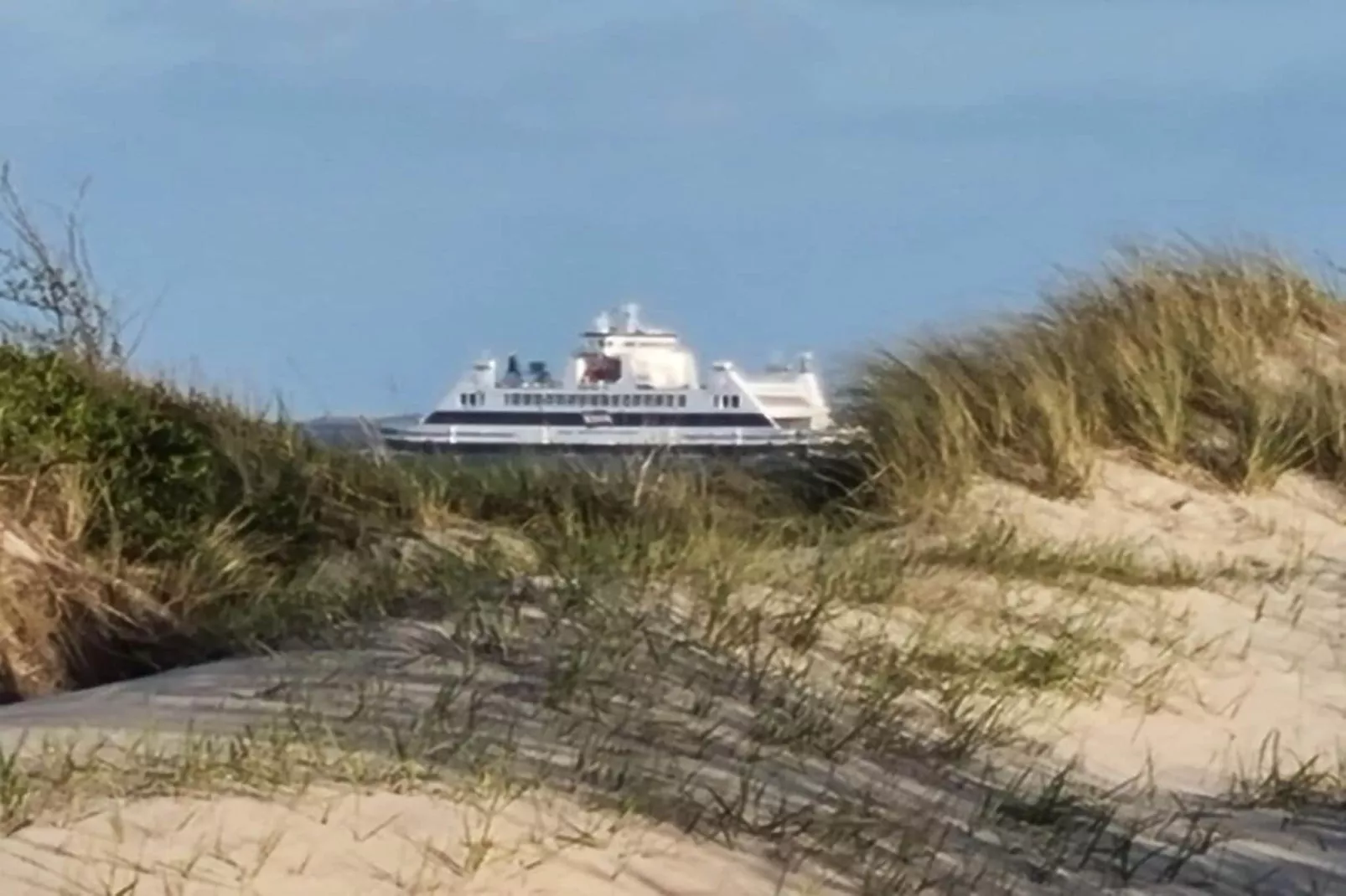 291403-Exterior in summer