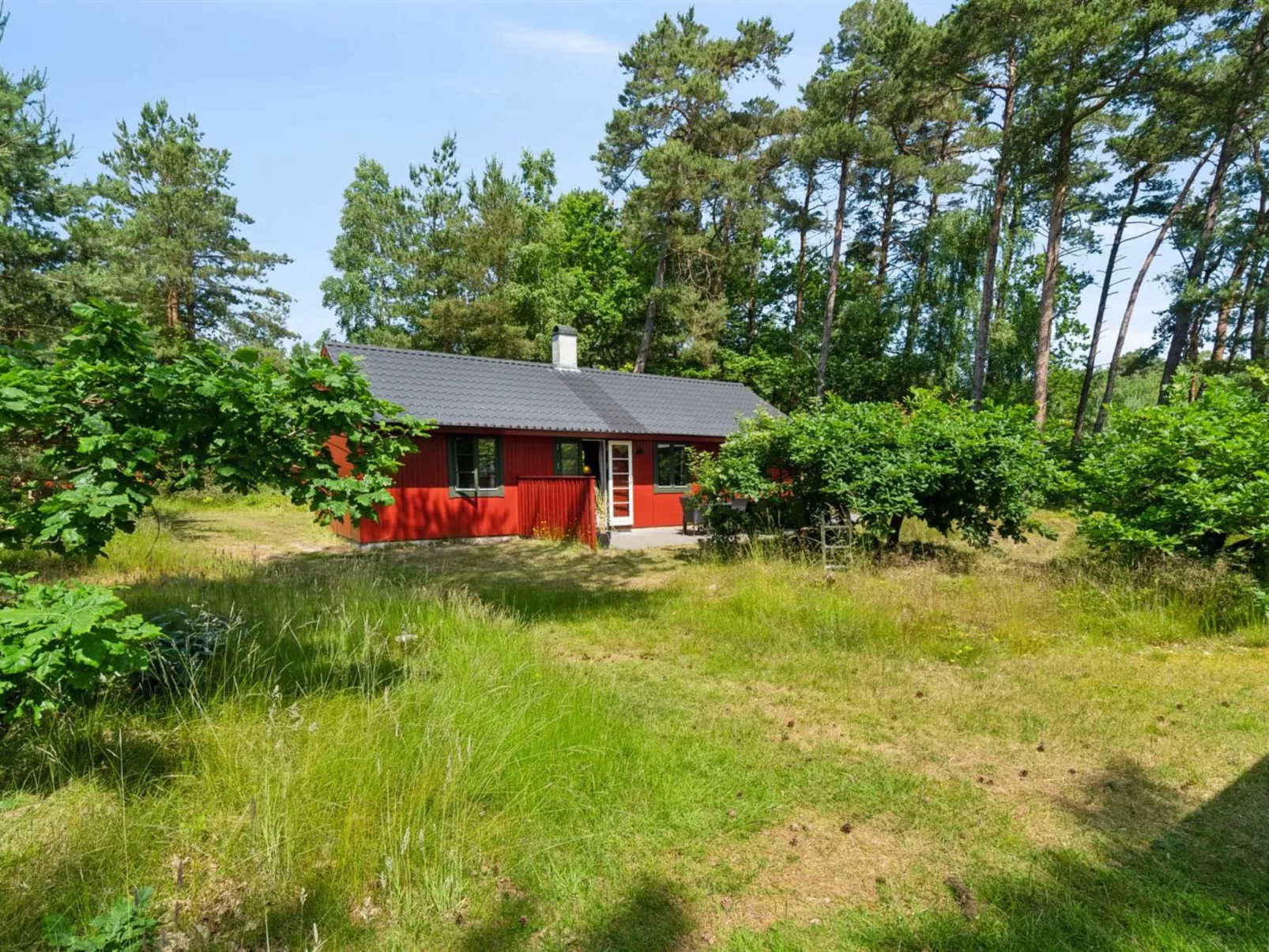 "Wale" - 100m from the sea-Dehors