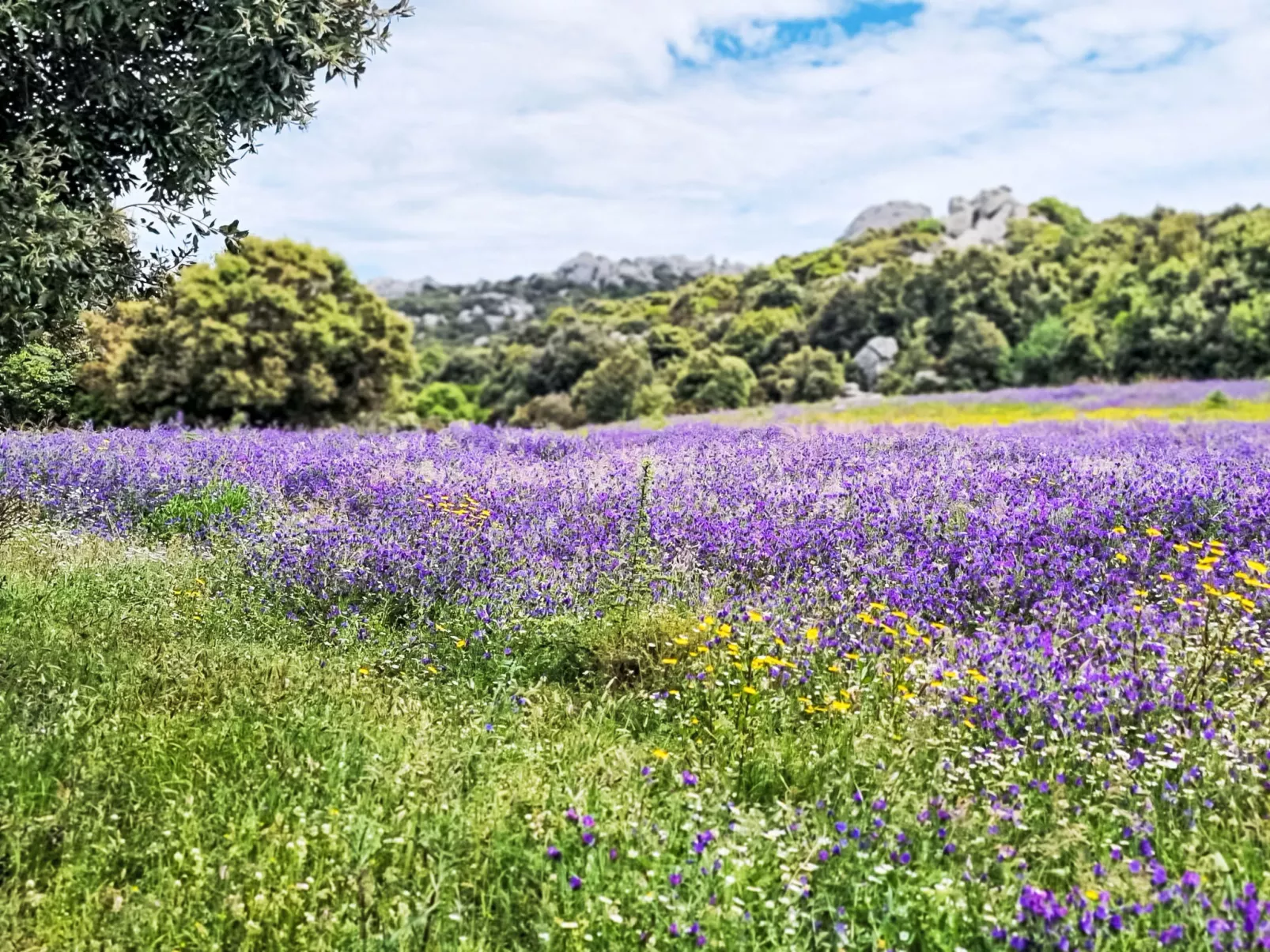 La Casa di Sughero-Inside