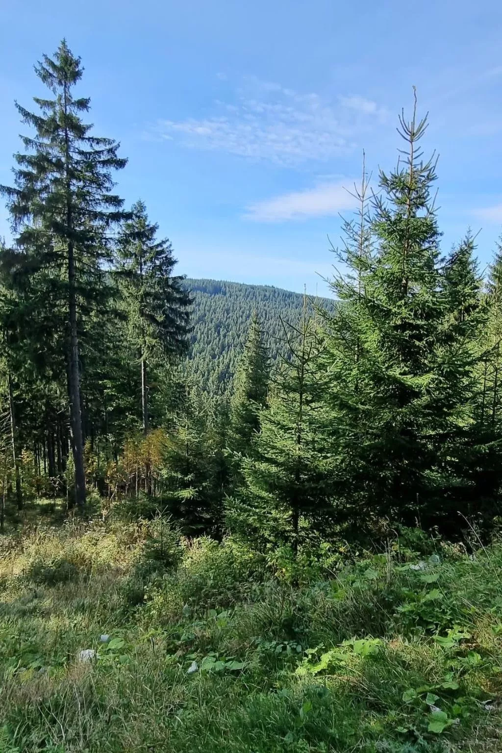 Appartement mit Blick auf das Wasser-Dehors
