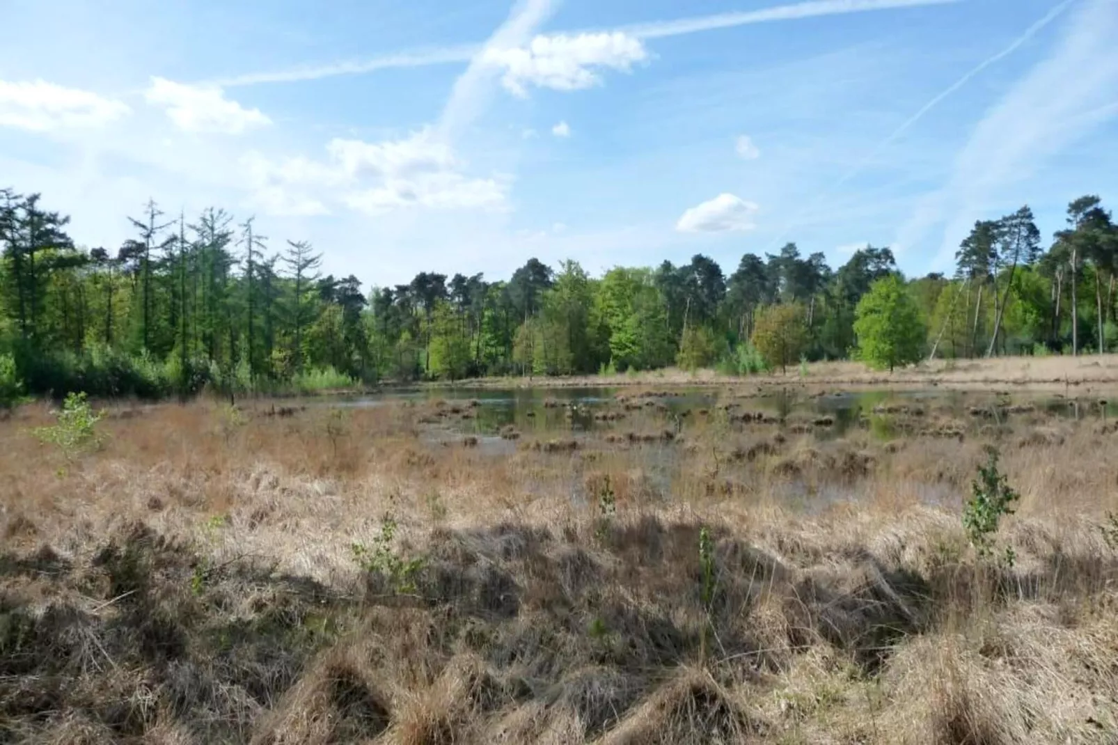 Luxe Lodges-Areas within 5km in summer