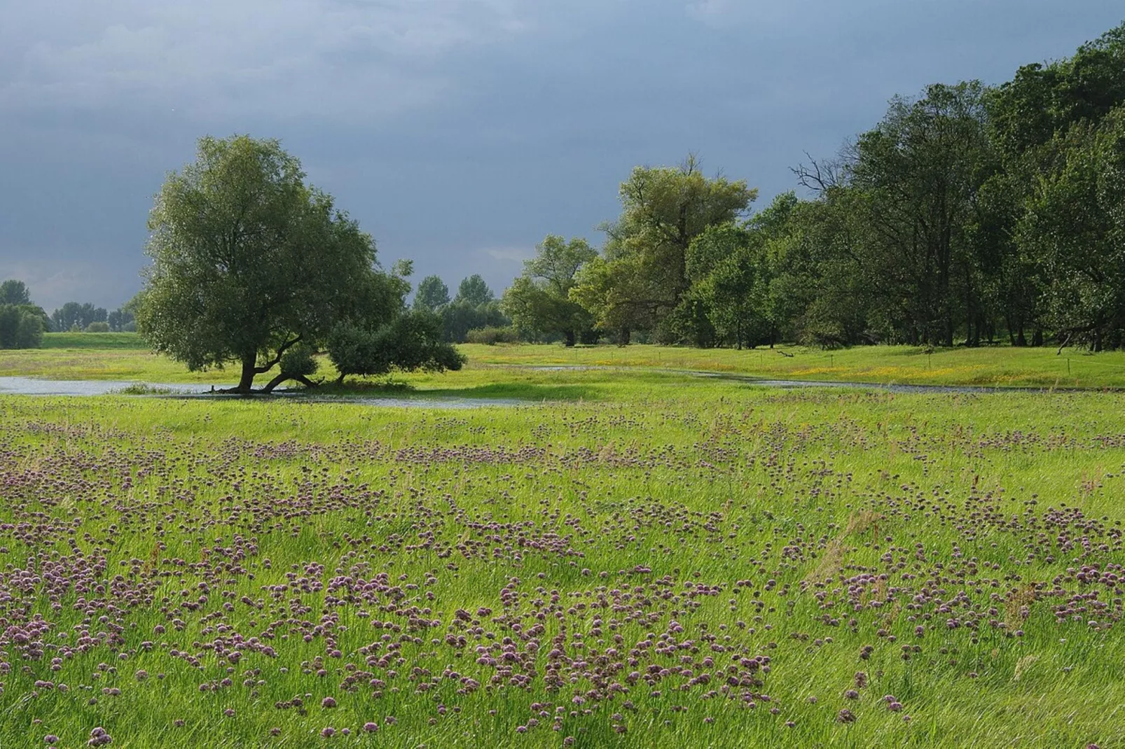 Jeamai’s Pension-Gebiete Sommer 5 km