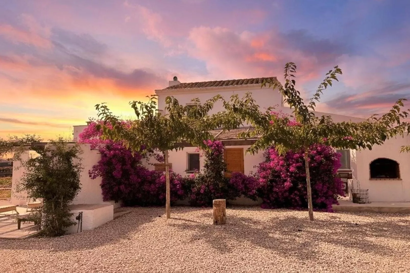 Mas Midó-Außenbereich Sommer