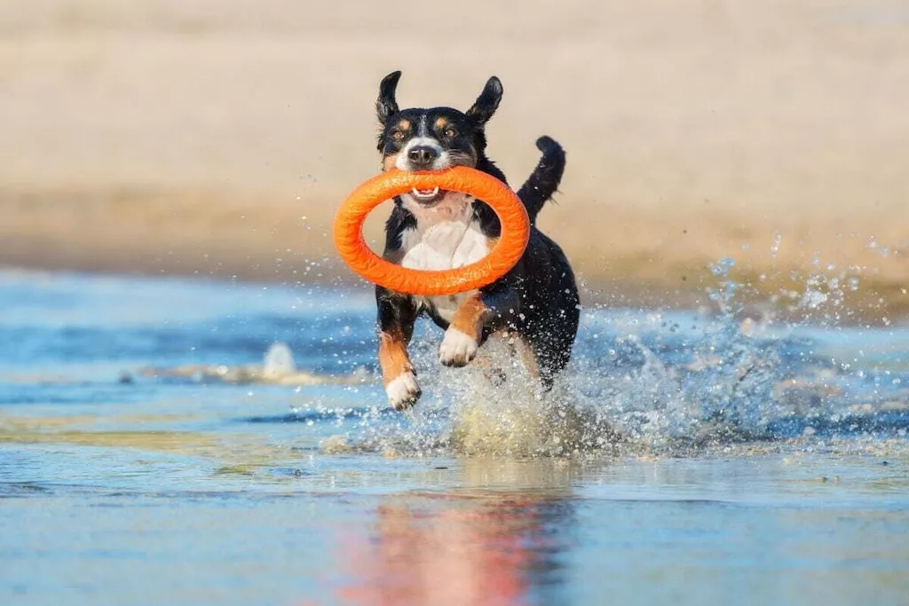 631772-Nicht zugeordnet