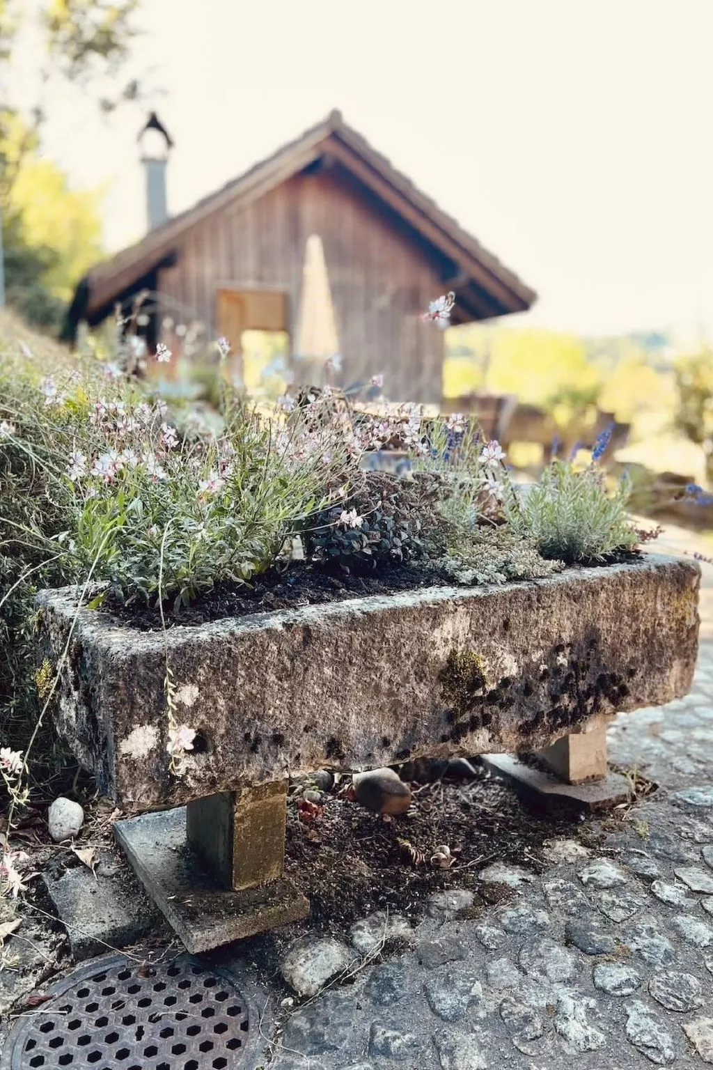 Alpaka-Ferienhaus Oenzlen - Image-tags.info